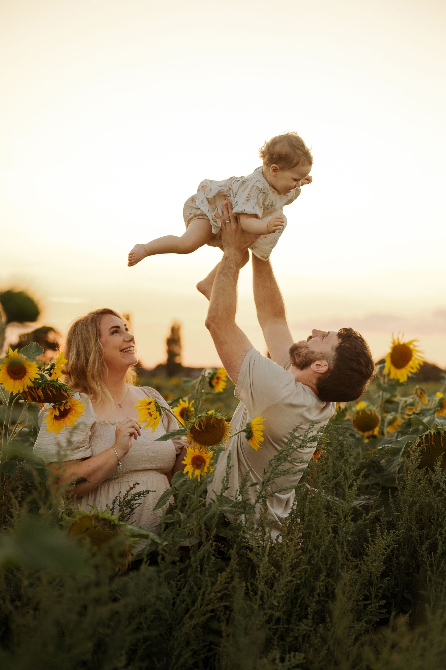 Family playing in sunflower field at sunset, father lifting baby in air while mother watches and smiles.