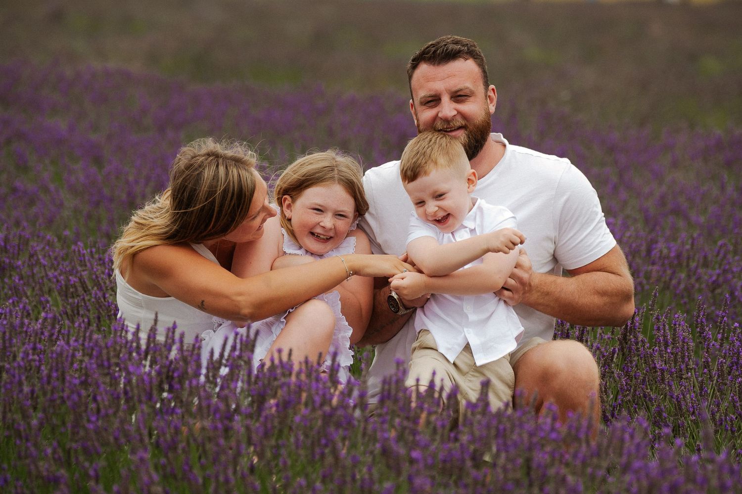 Family lying together in a blooming purple lavender field on a sunny day.