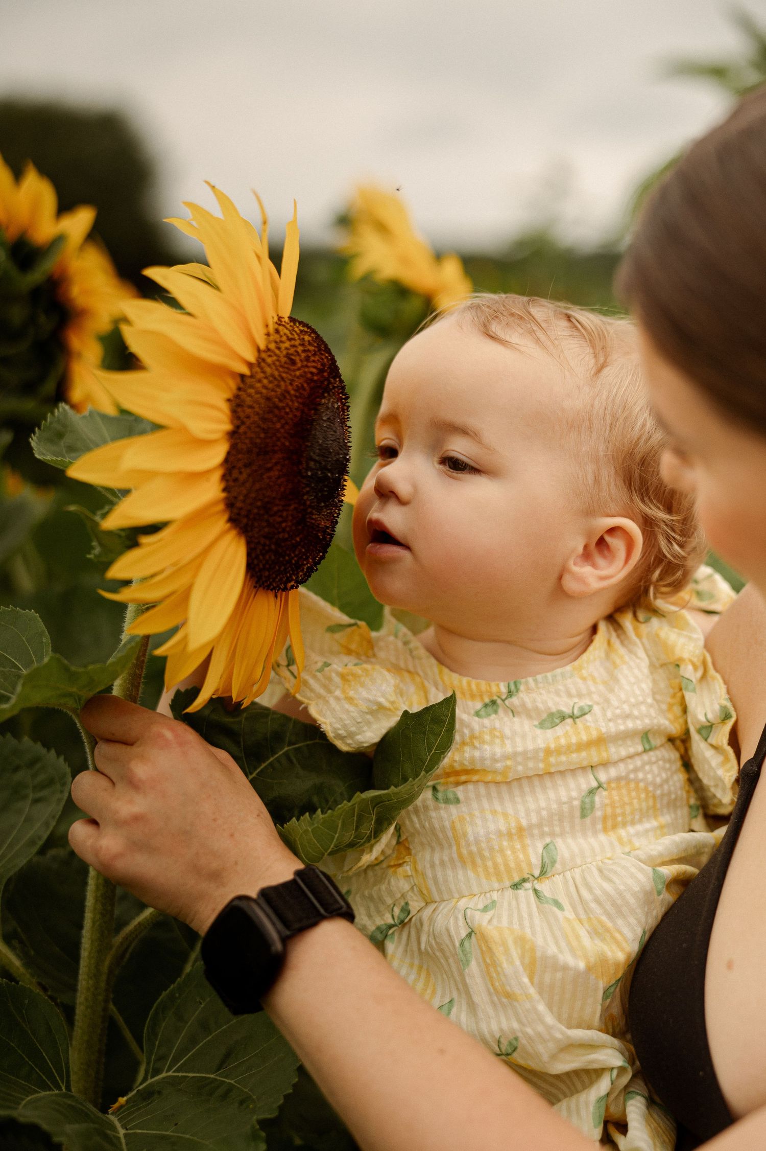 A baby in a yellow dress gazes curiously at a large sunflower held by a mother in a sunny sunflower field.