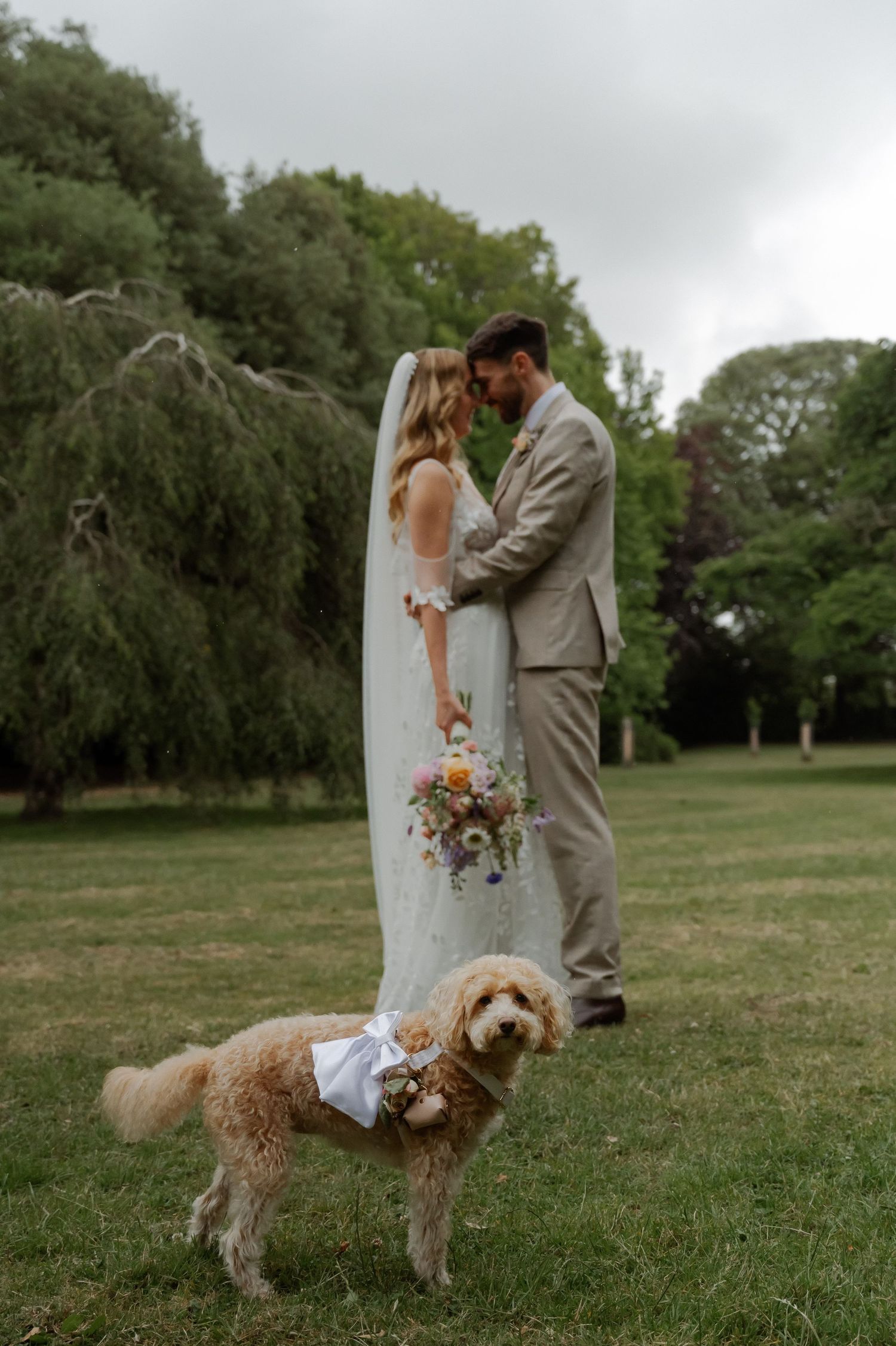 A couple shares an intimate moment in a grassy field while their golden doodle dog watches nearby.