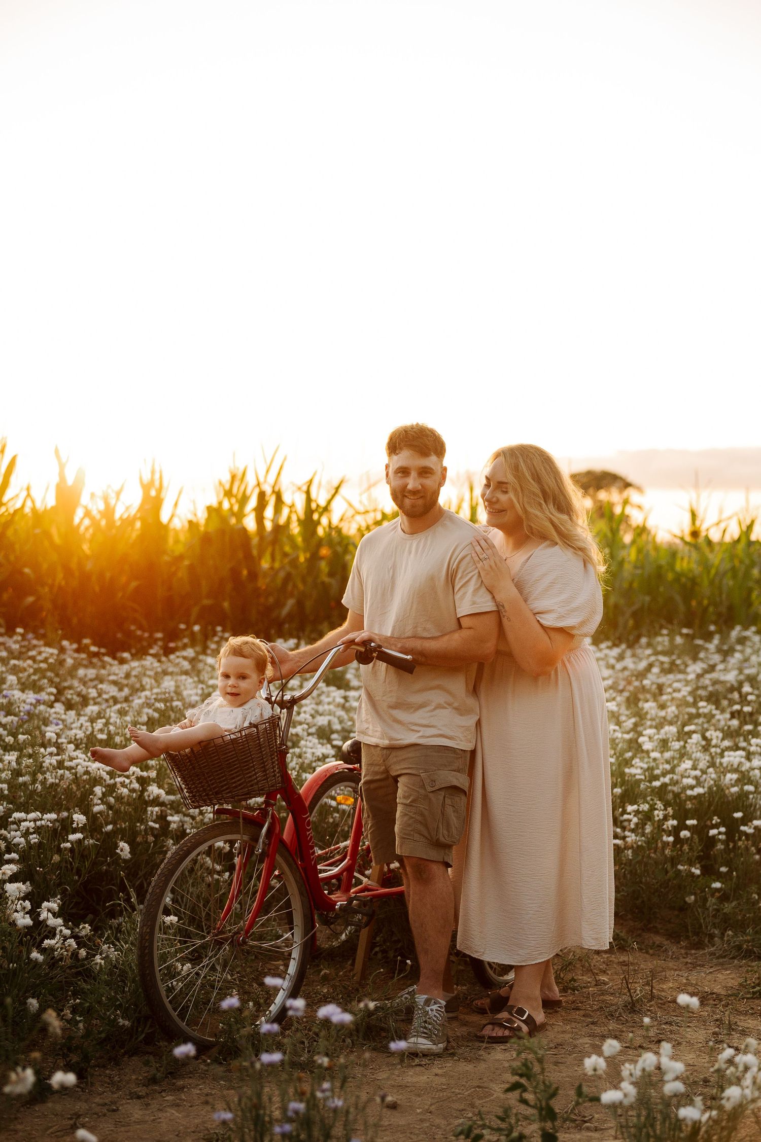 Family with toddler in bicycle basket posing in flower field at golden sunset near cornfield.