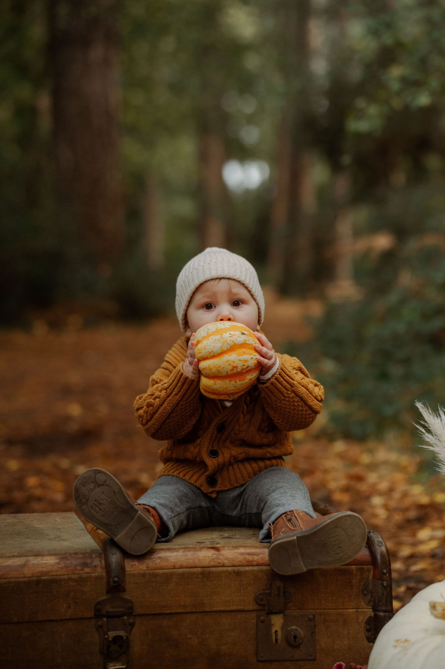 Toddler in mustard knit sweater and white beanie sits on vintage suitcase holding small pumpkin in autumn forest.