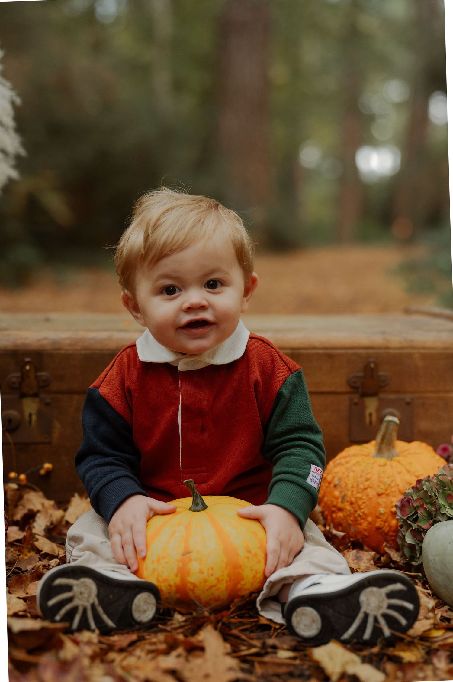 Smiling baby boy sitting outdoors with orange pumpkins and autumn leaves in a fall forest photo session.