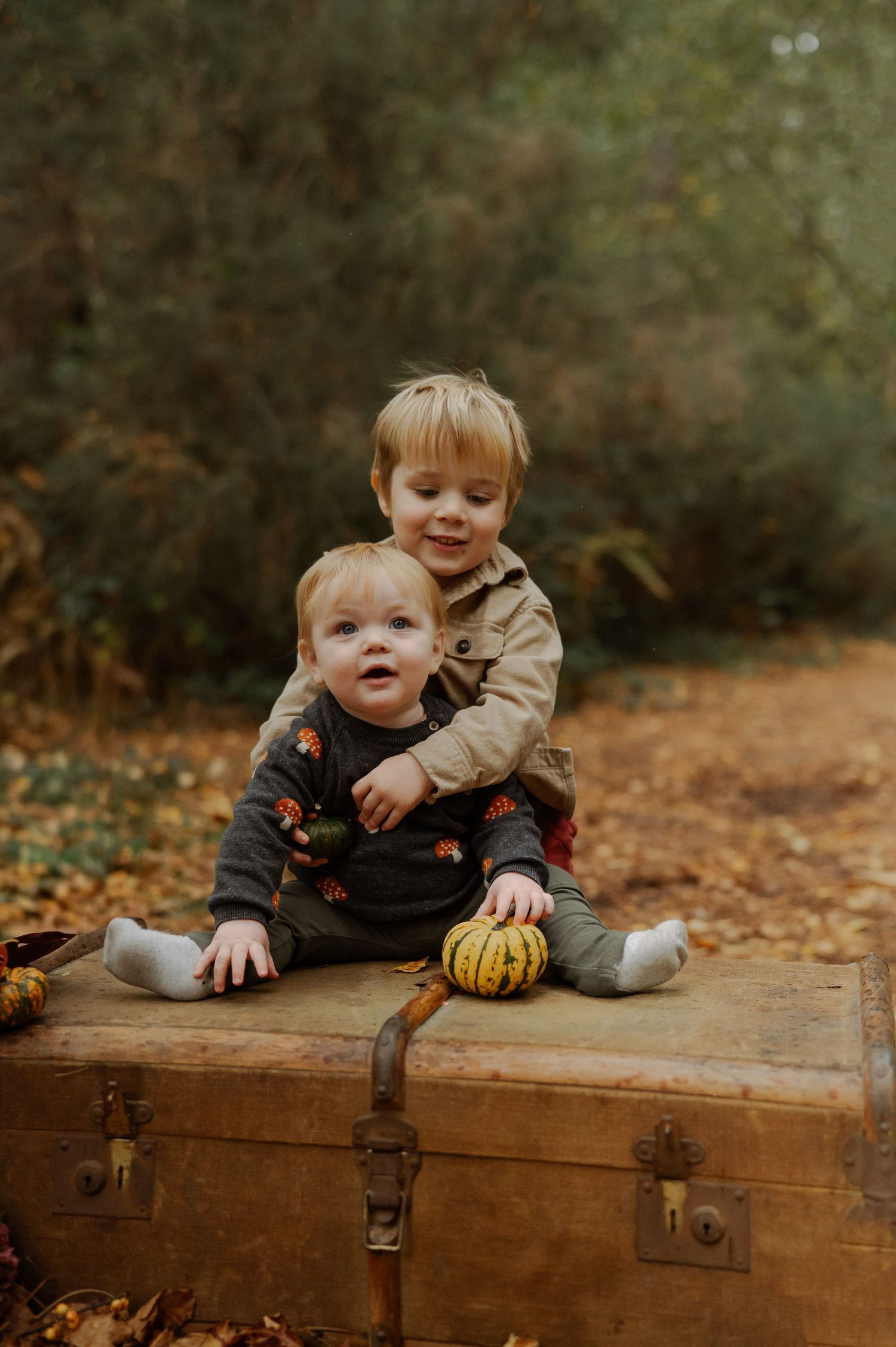 Two toddlers sit on a vintage suitcase surrounded by autumn leaves in a woodland setting with a small decorative pumpkin.