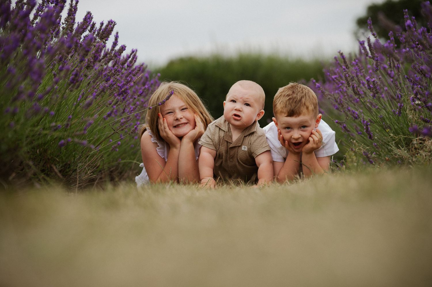 A group of people lying in a blooming lavender field during a summer photo session.
