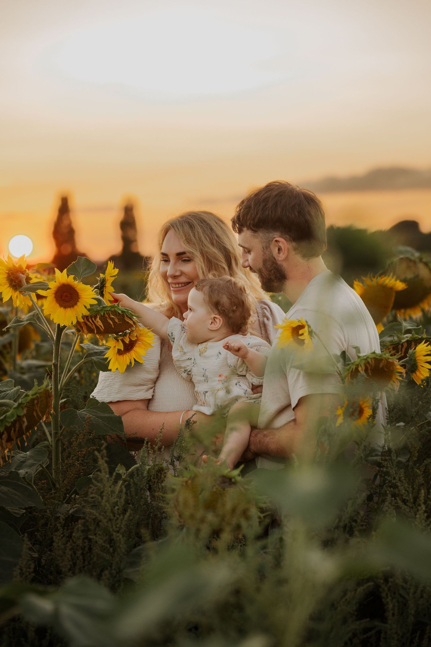 A young family with a baby poses in a sunflower field at golden hour sunset.