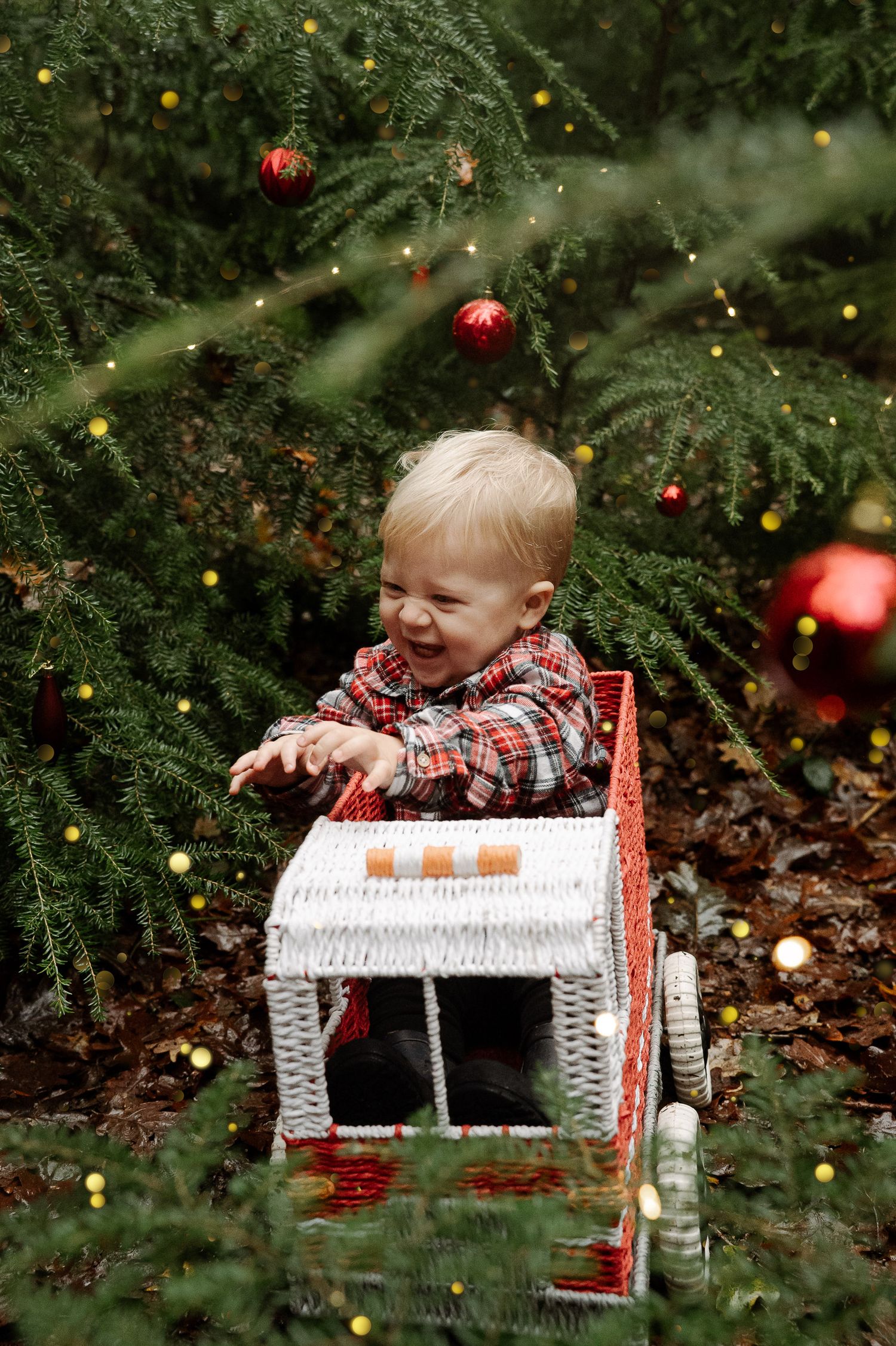 Smiling toddler in plaid shirt sitting in wicker toy truck surrounded by Christmas tree with red ornaments.