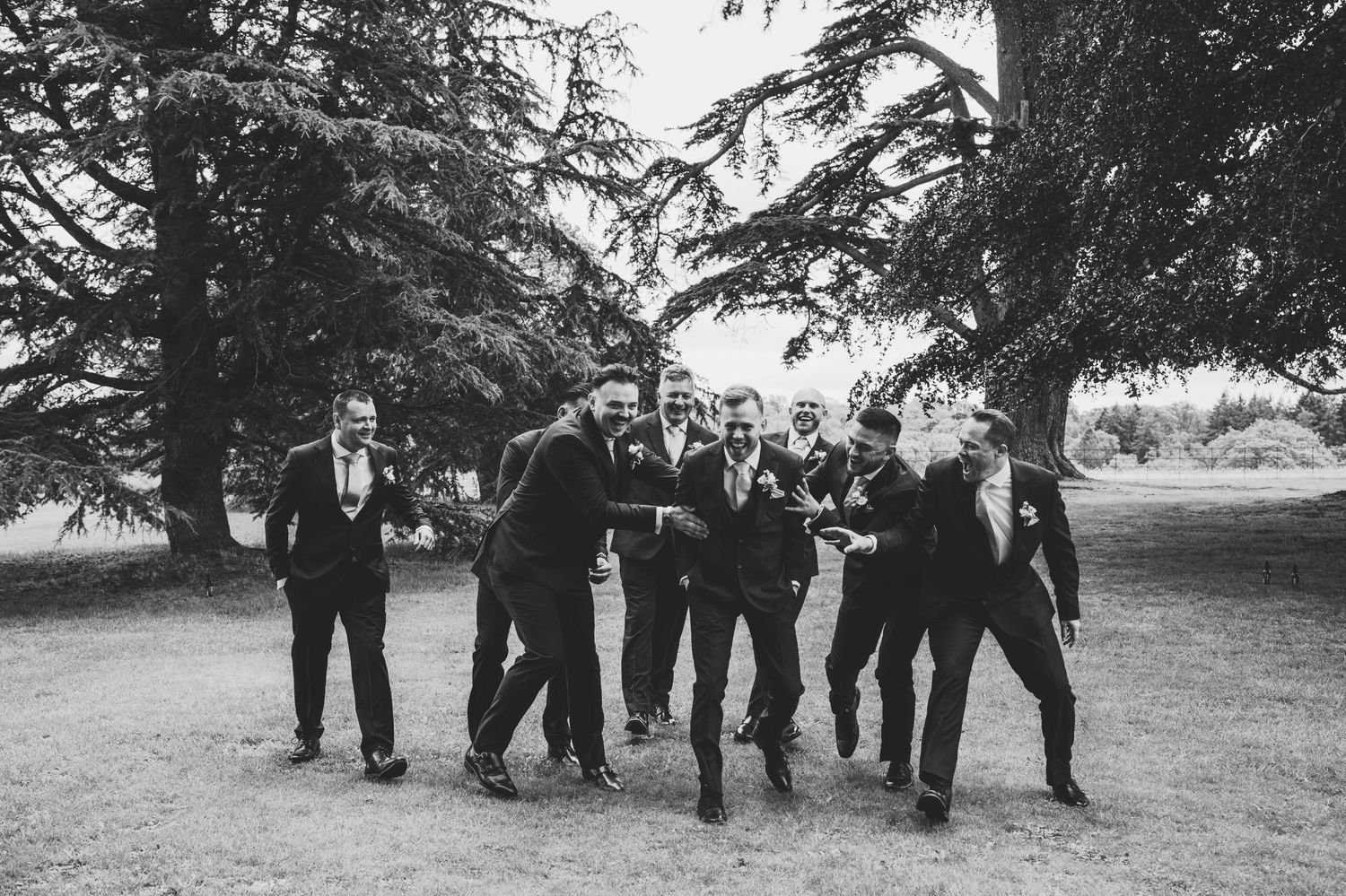 Black and white photo of groom and groomsmen laughing and walking together outdoors under large trees.