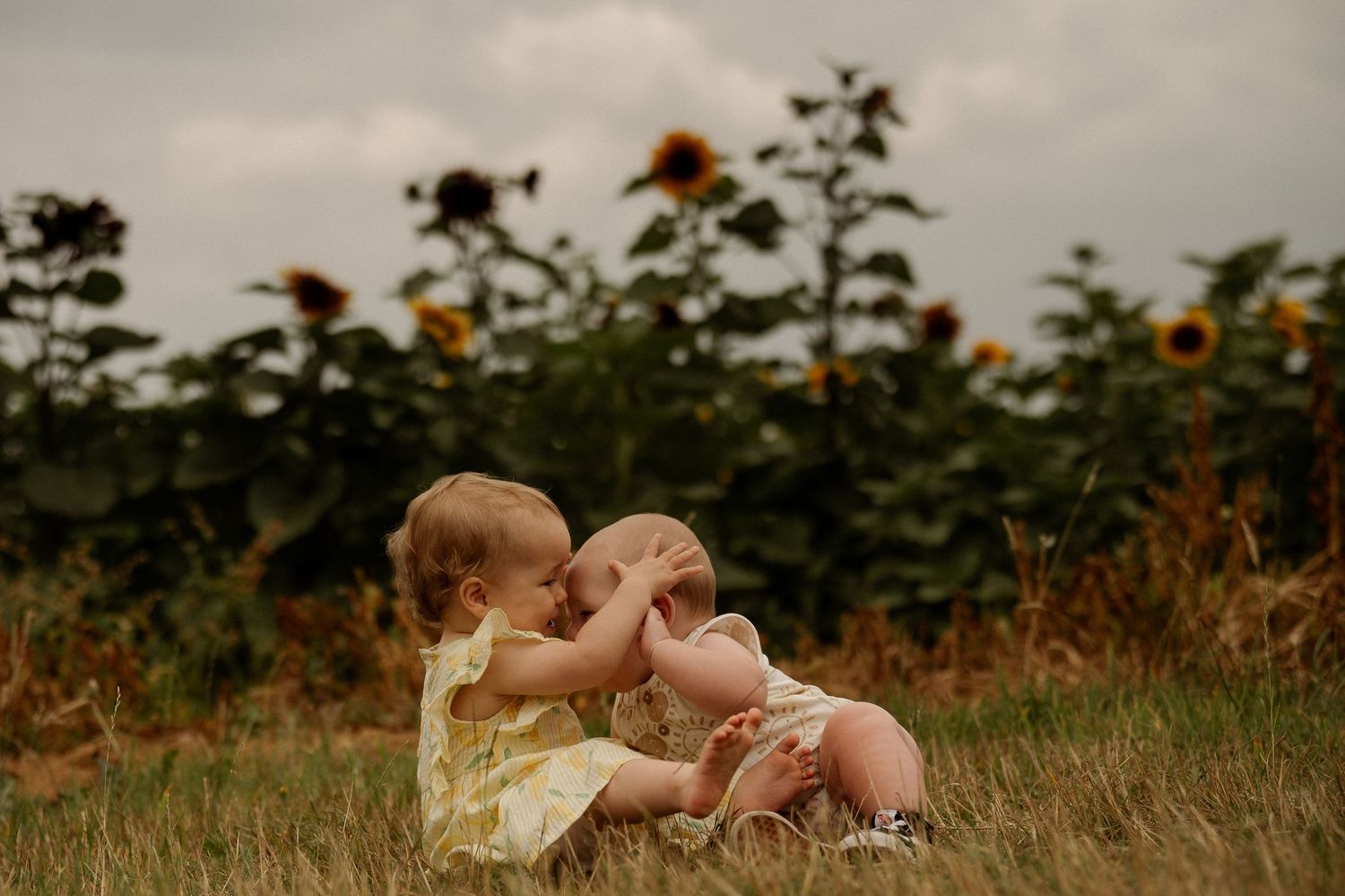 Two babies in yellow dresses sit together in a sunflower field on a cloudy day.