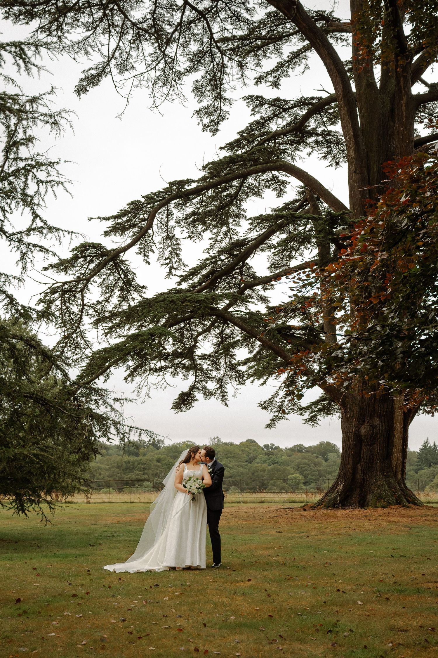 A couple embraces under a majestic old cedar tree on their wedding day in a serene countryside setting.