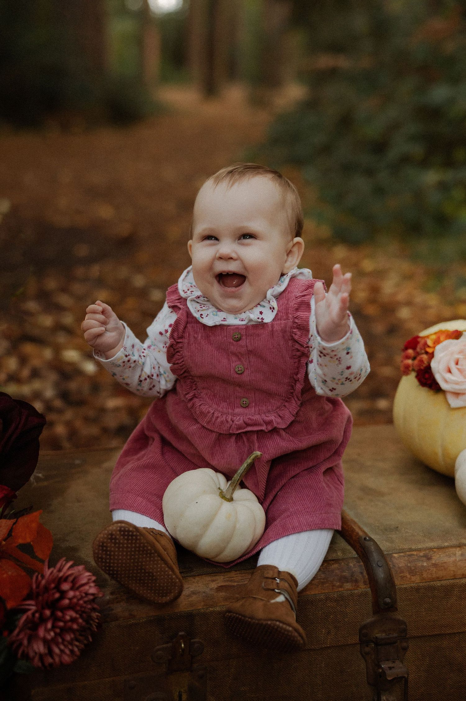 Happy baby girl in pink dress laughing on vintage suitcase with white pumpkin in autumn forest setting.