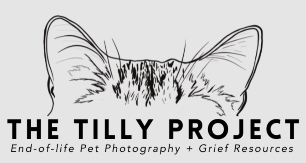 The Tilly Project is an international 501(c)(3) nonprofit organisation that The Tilly Project is an international 501(c)(3) nonprofit