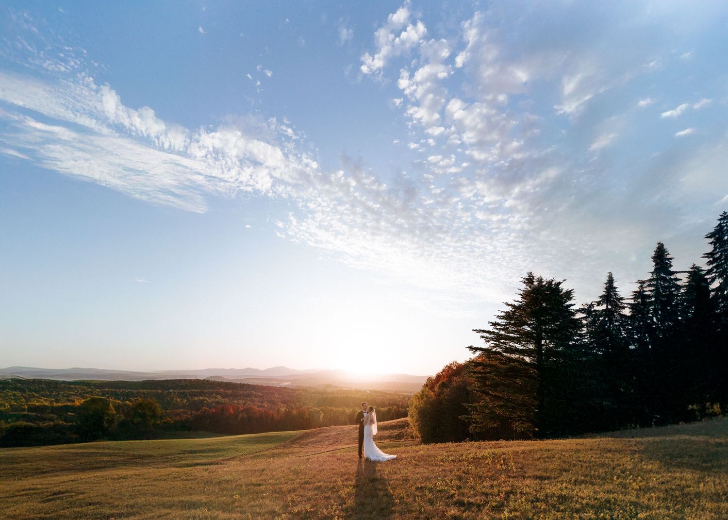 Bride and groom stand at sunset on a golden field with tall trees and a vast blue sky in a scenic outdoor wedding photo.