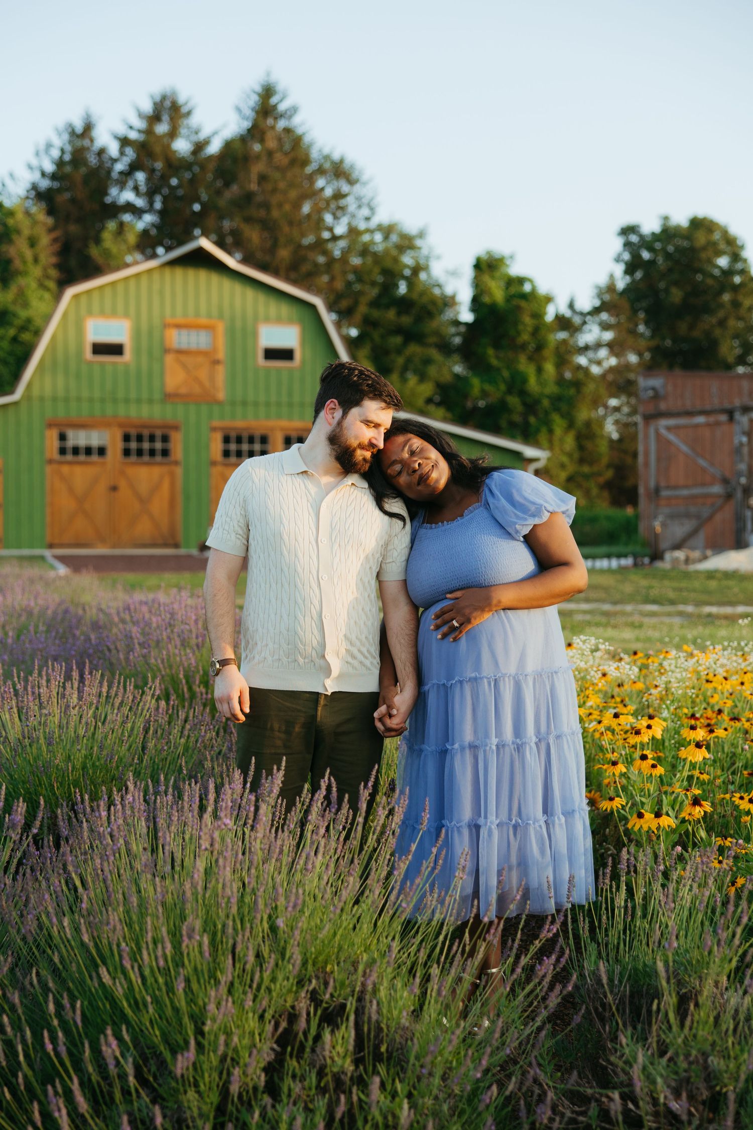A couple embraces in a lavender field at golden hour, with a green barn backdrop, as she leans on his shoulder.