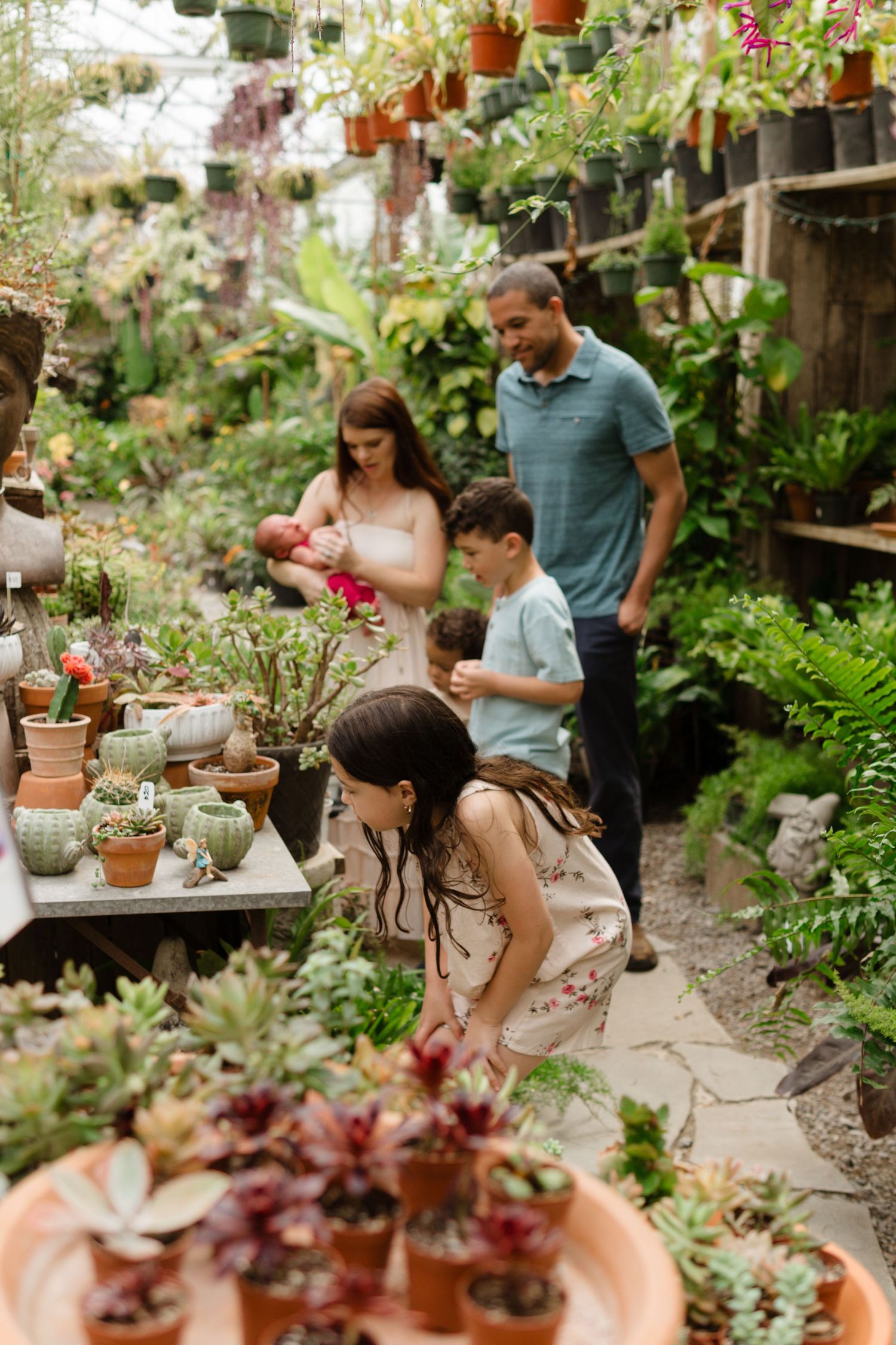 Family exploring a lush greenhouse nursery, browsing succulents and potted plants among vibrant greenery.