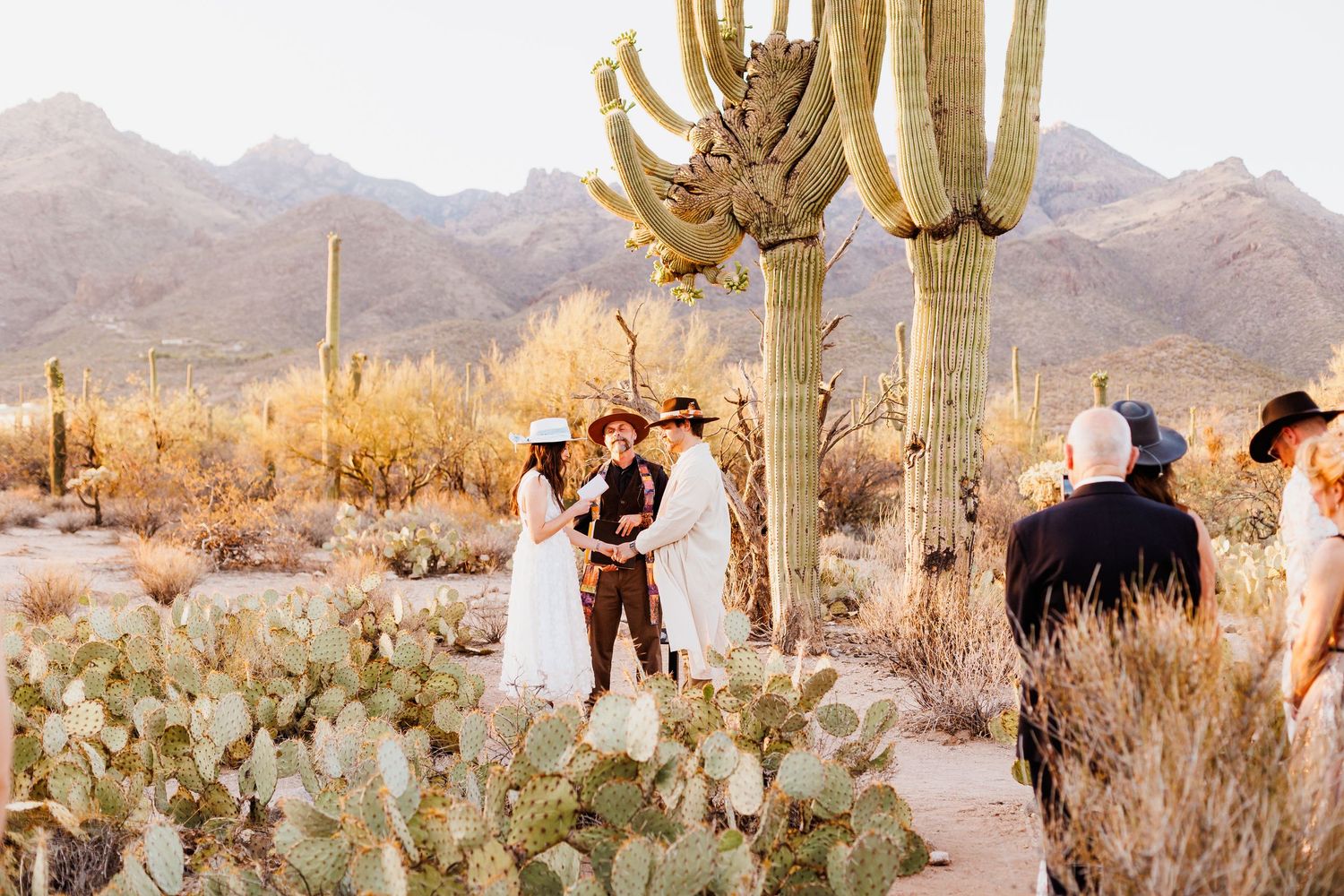 A wedding ceremony takes place in a desert landscape surrounded by towering saguaro cacti and prickly pear at sunset.