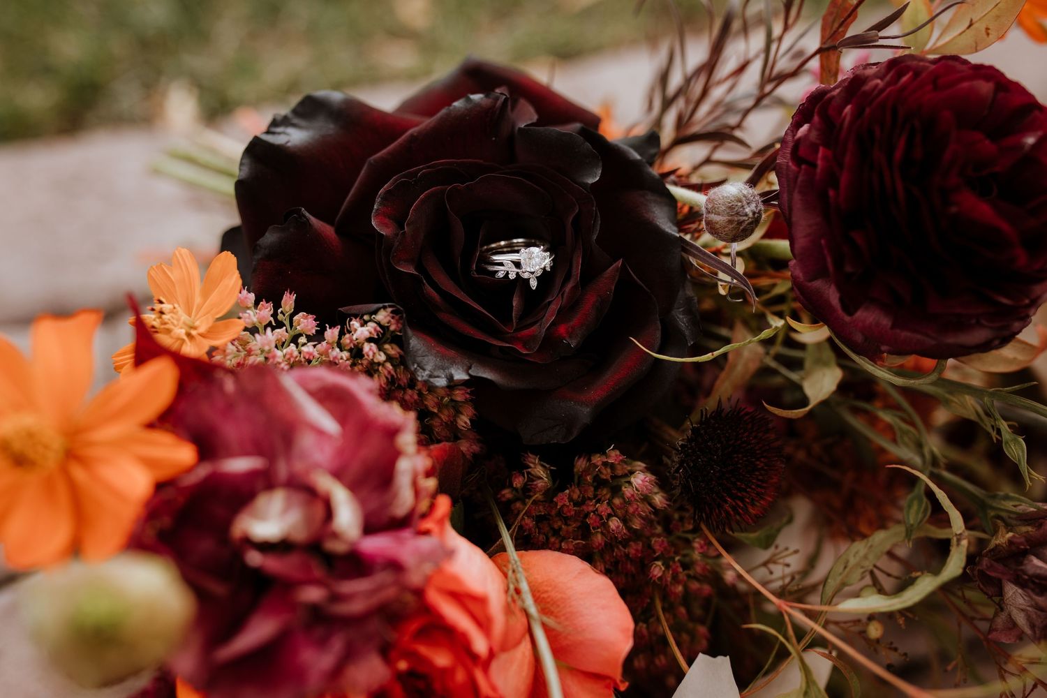 Deep burgundy roses with orange lilies and delicate berries create a moody romantic fall wedding bouquet with rings by tucson photographer