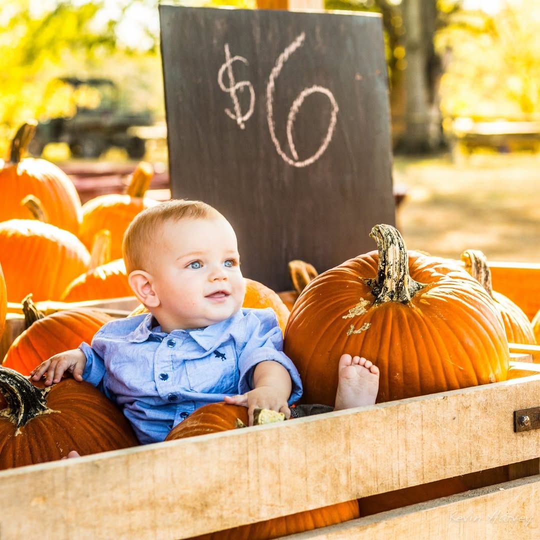 Murfreesboro family photographer baby fall pumpkin patch portrait