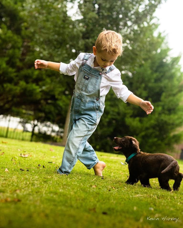 Murfreesboro family photographer child playing with puppy outdoor portrait