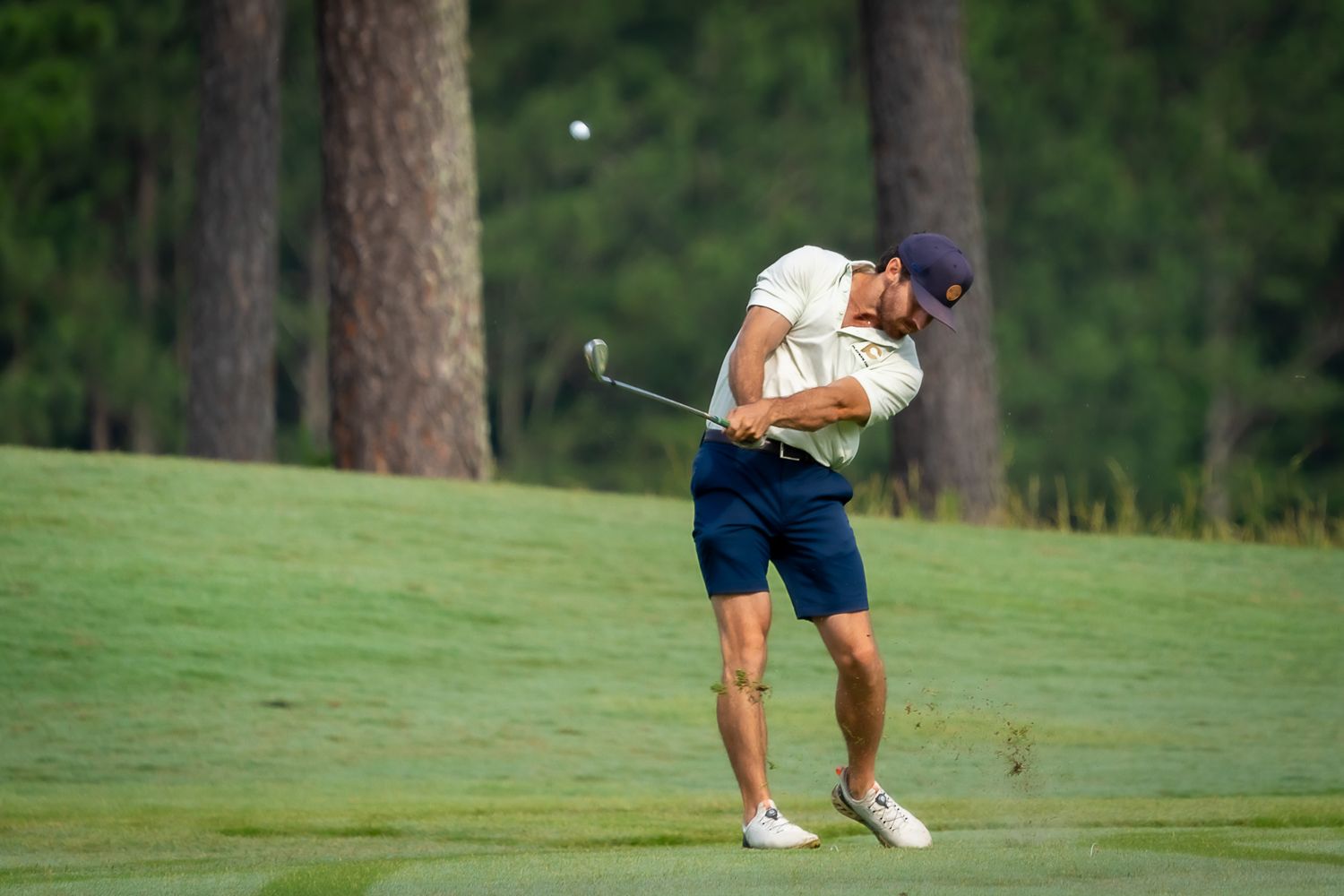Golfer in navy shorts and white shirt hits an iron shot on a lush green fairway surrounded by tall pine trees.
