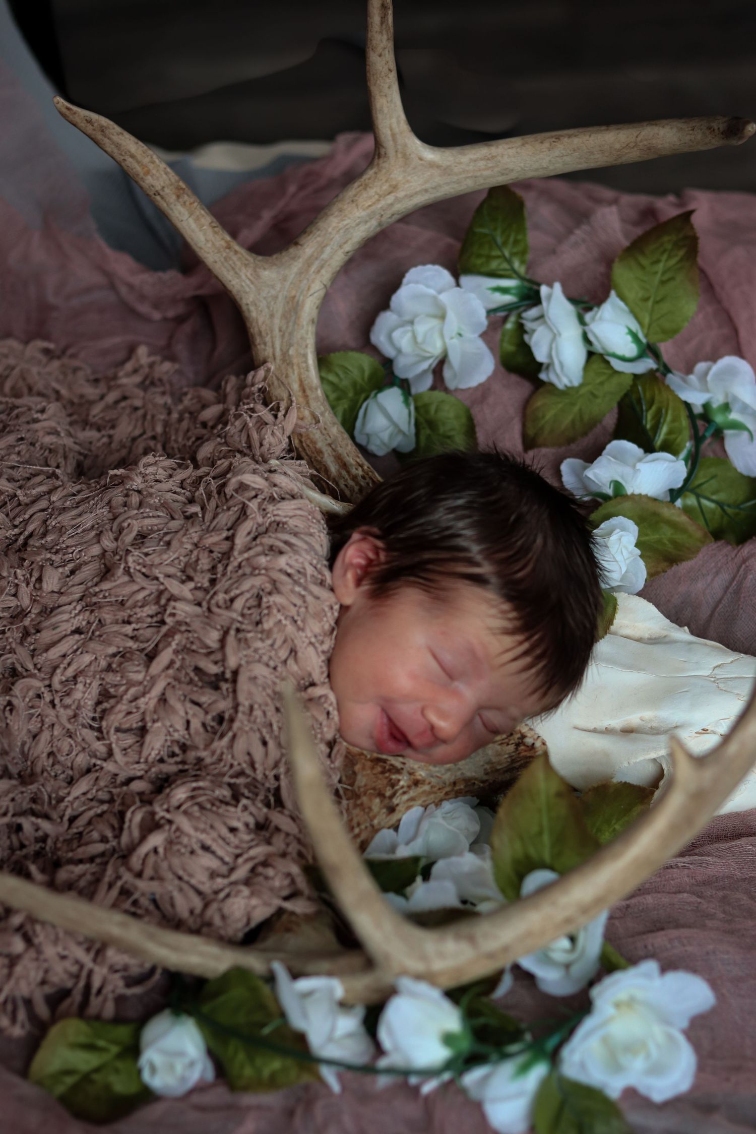 Sleeping newborn baby surrounded by white flowers and deer antlers on pink blanket.