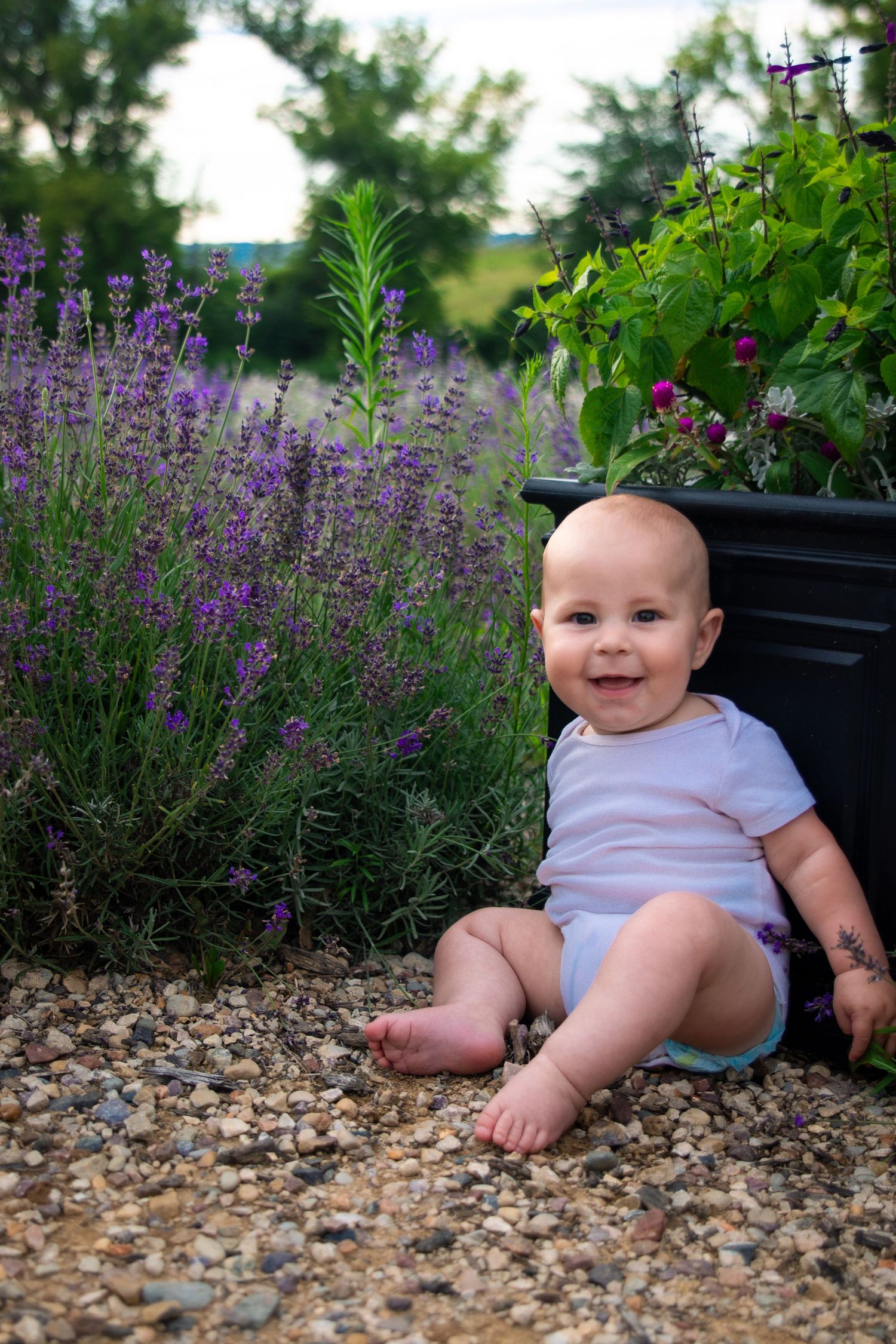 Happy baby sitting on gravel path surrounded by purple lavender flowers and green plants in a garden.