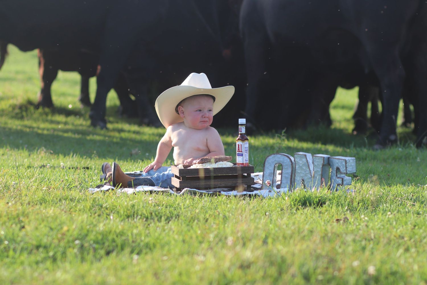 Baby boy in cowboy hat sitting shirtless in a pasture with cattle for a first birthday photo.