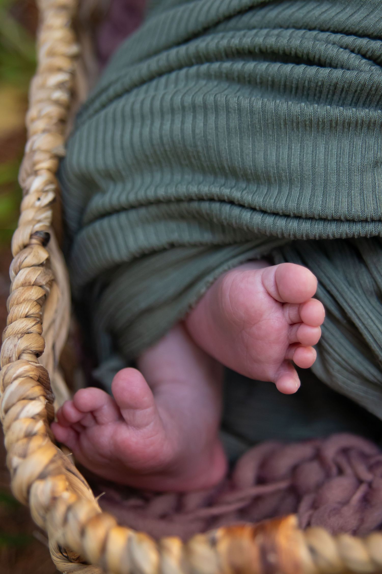 Close-up of newborn baby feet peeking out from a green ribbed wrap inside a woven basket.
