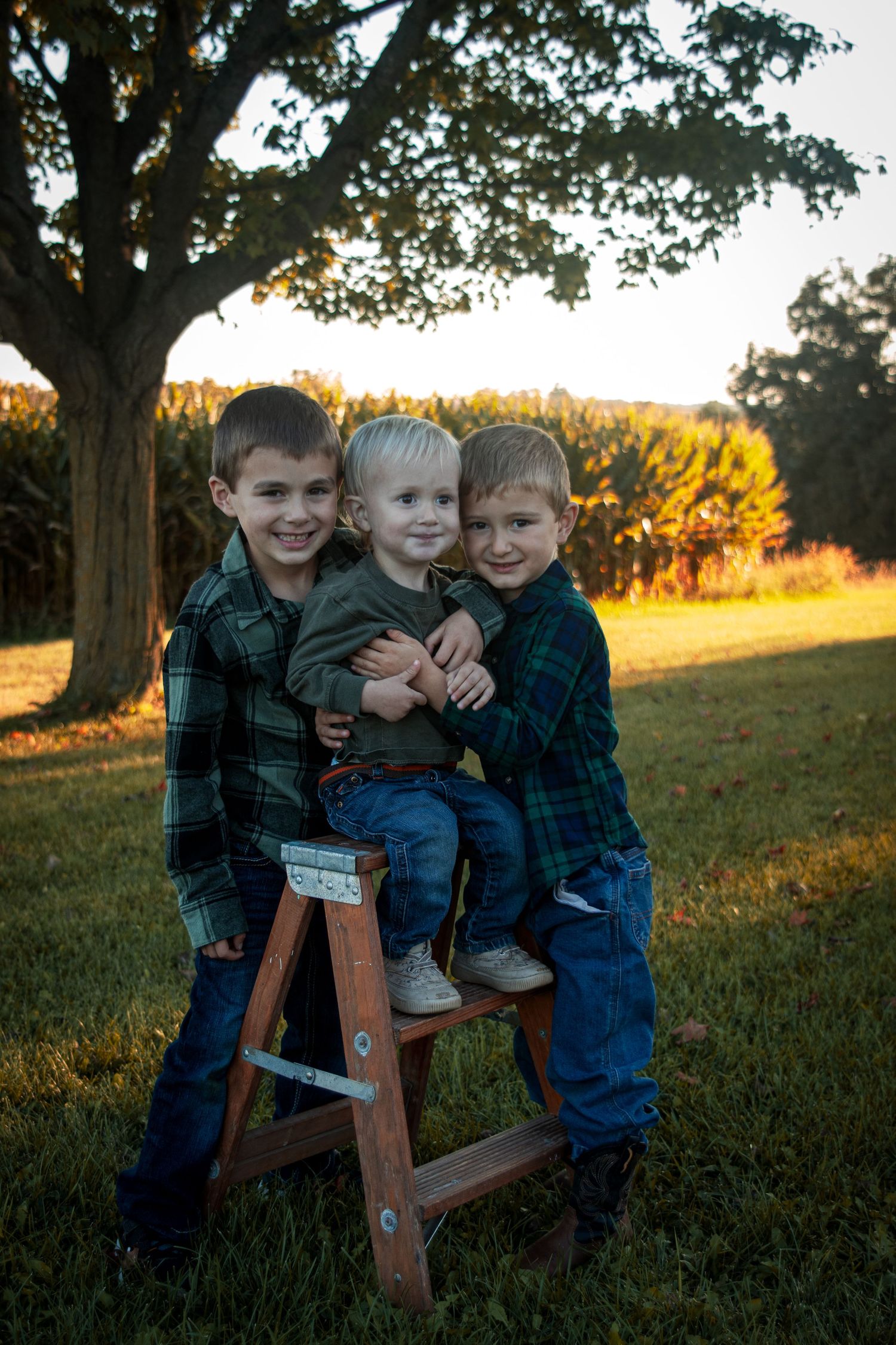 Three young boy on a wooden ladder outdoors during golden hour sunset.