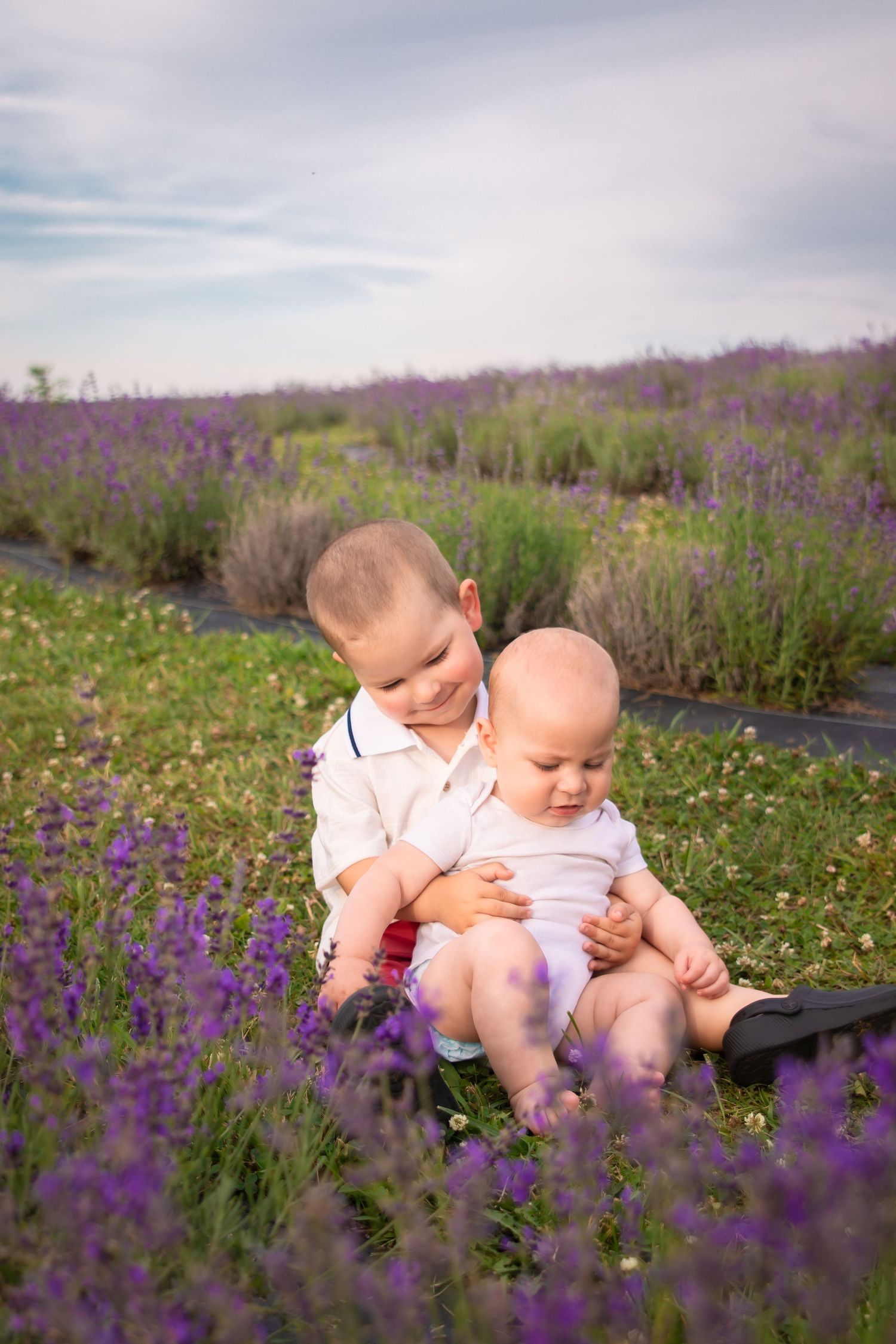 Two young children sitting in a blooming lavender field, older toddler smiling and holding baby sibling outdoors.