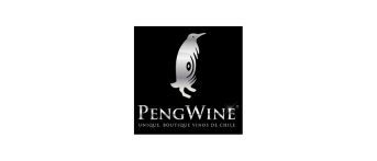 PengWine boutique Chilean wines logo with silver penguin illustration.