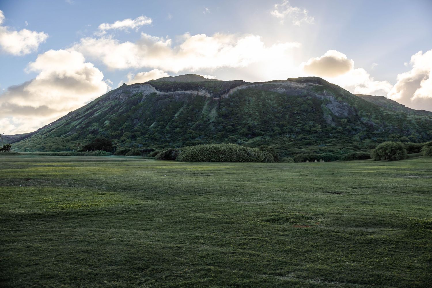 Oahu Hawaii 
Oahu Locations
Photographer