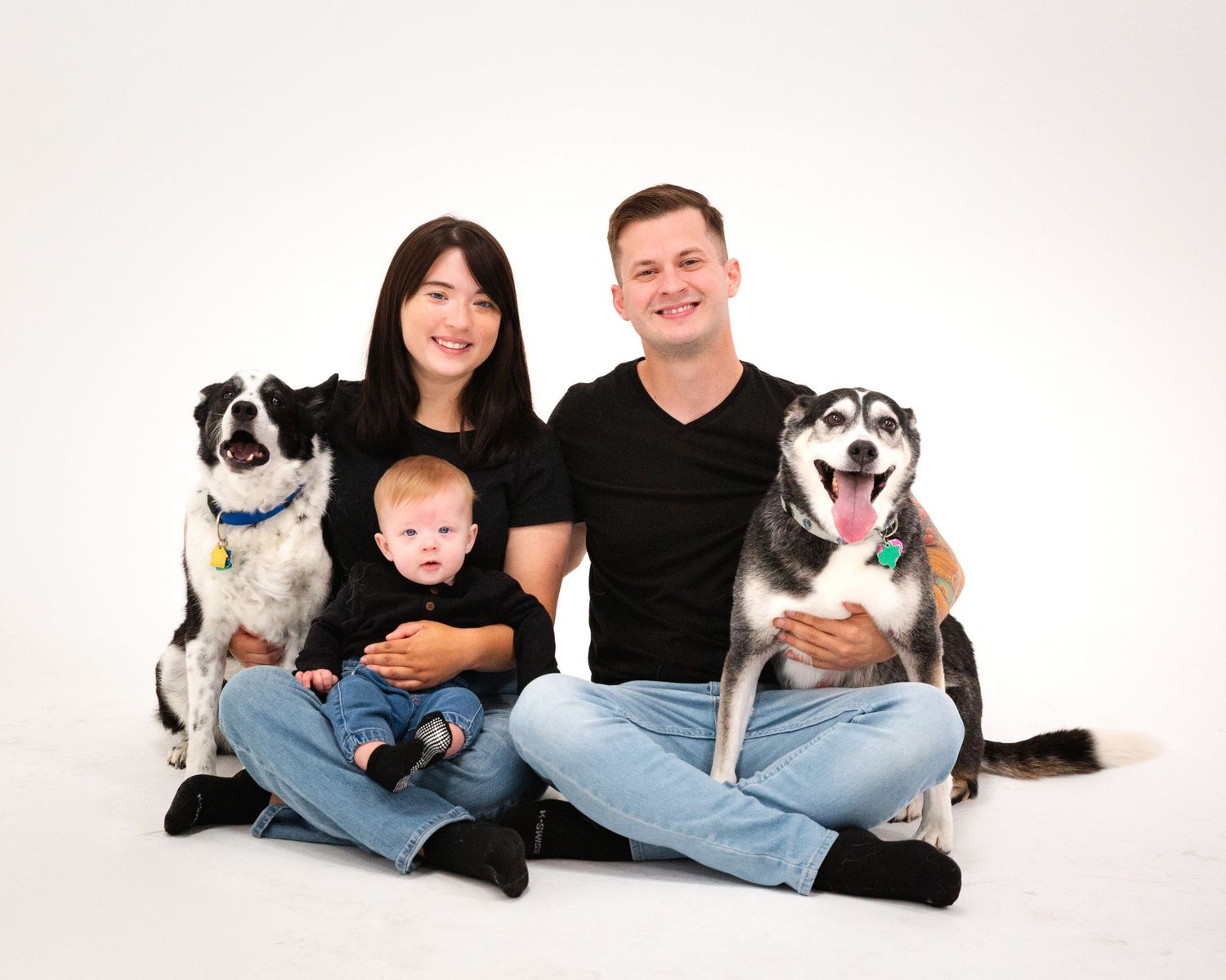 Family portrait with pets on white background showing progression of poses.