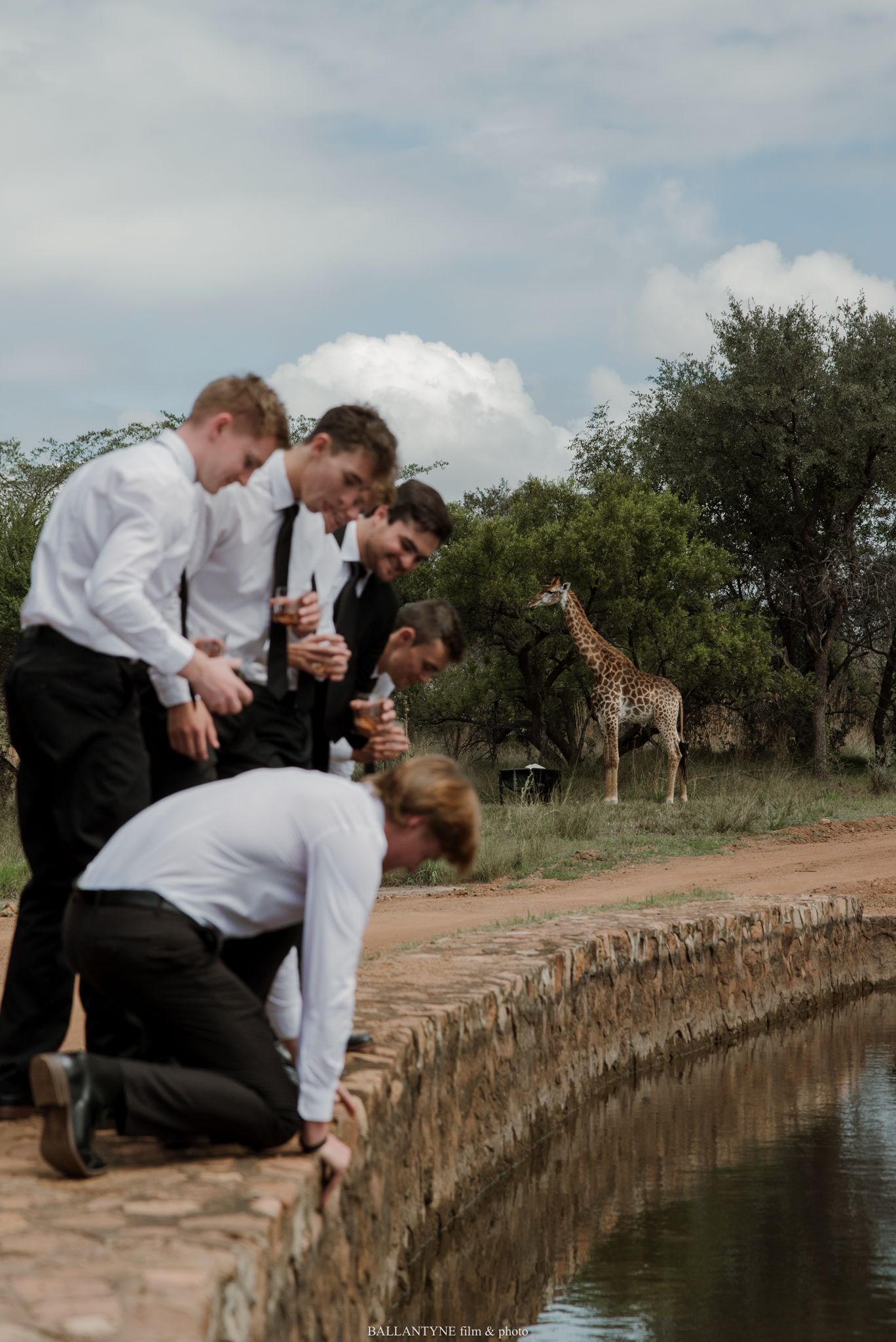Groomsmen in white shirts and black ties lean over a stone wall near a watering hole with a giraffe in the background.