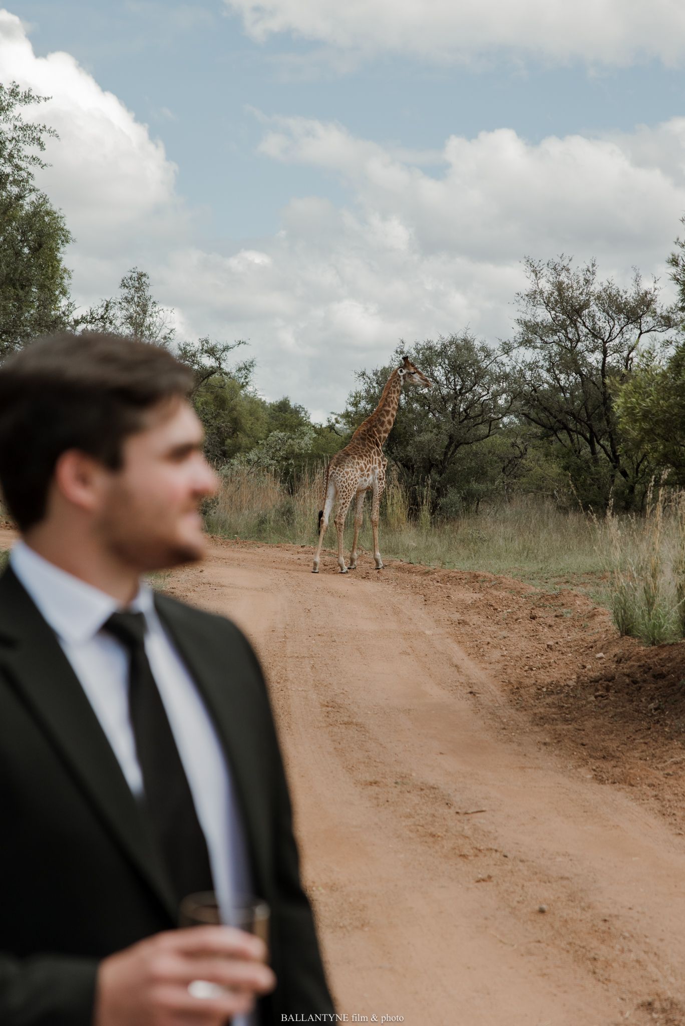 A groom in a black suit holds a drink on a dirt road while a giraffe stands in the background at a safari wedding.