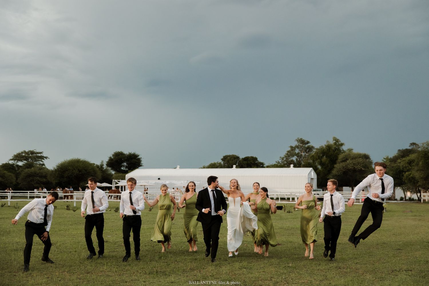Wedding party jumping joyfully on green lawn with stormy sky, bridesmaids in sage green gowns and groomsmen in black suits.