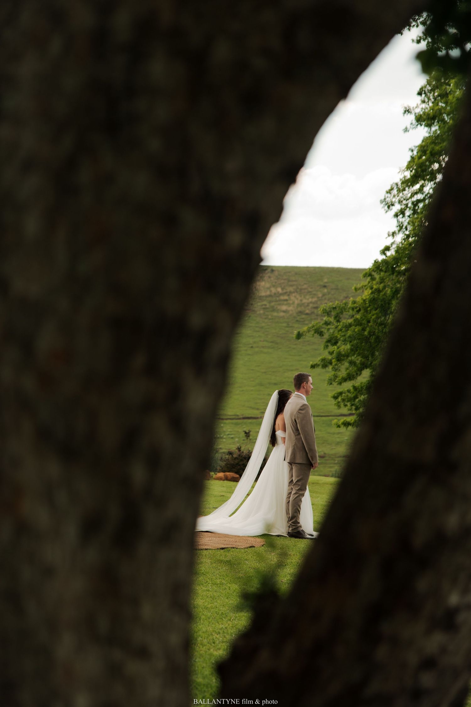 Wedding couple framed through trees with rolling hills in the background.