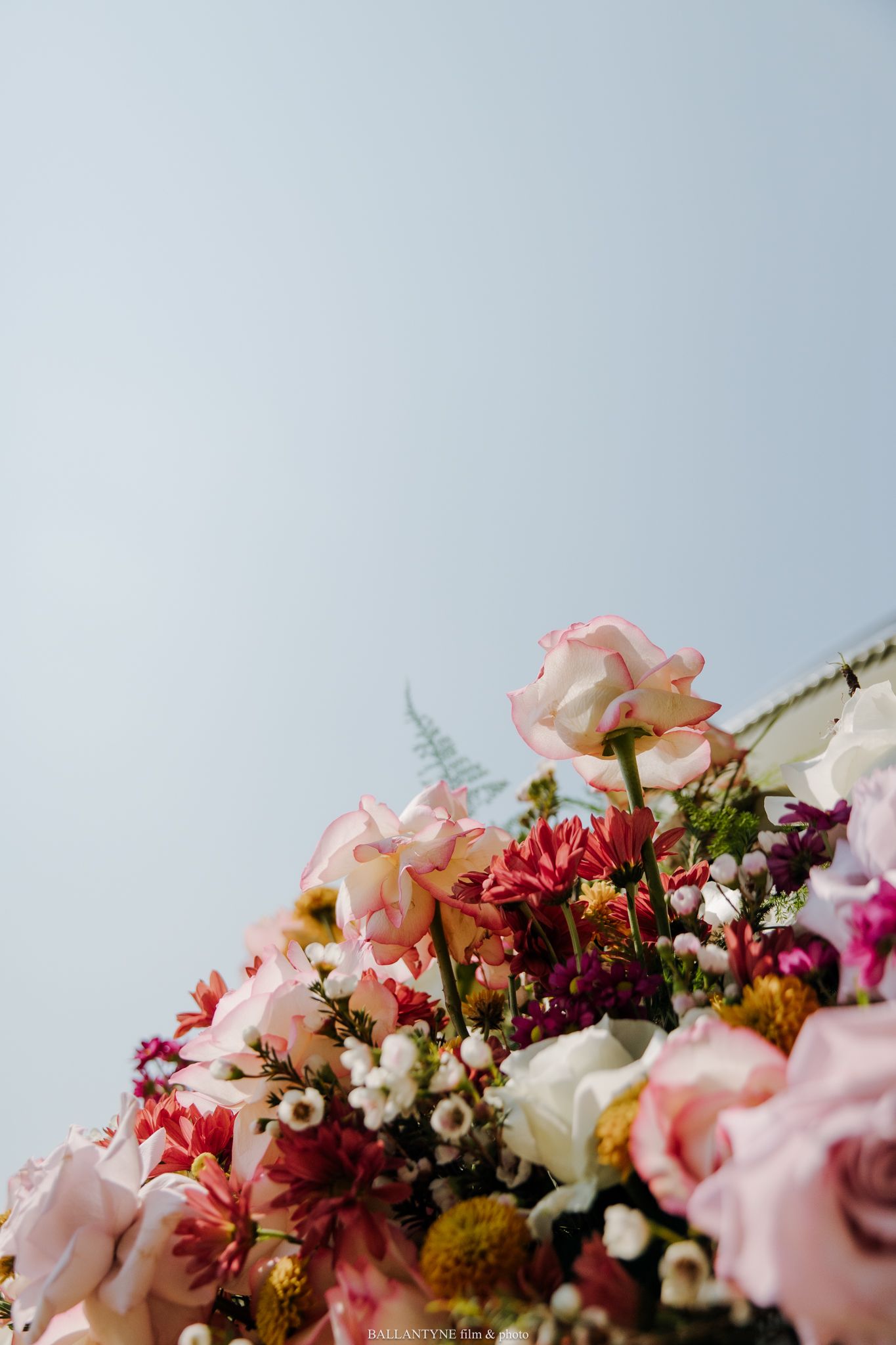 Close-up of pink and burgundy floral arrangement with roses against light blue background.