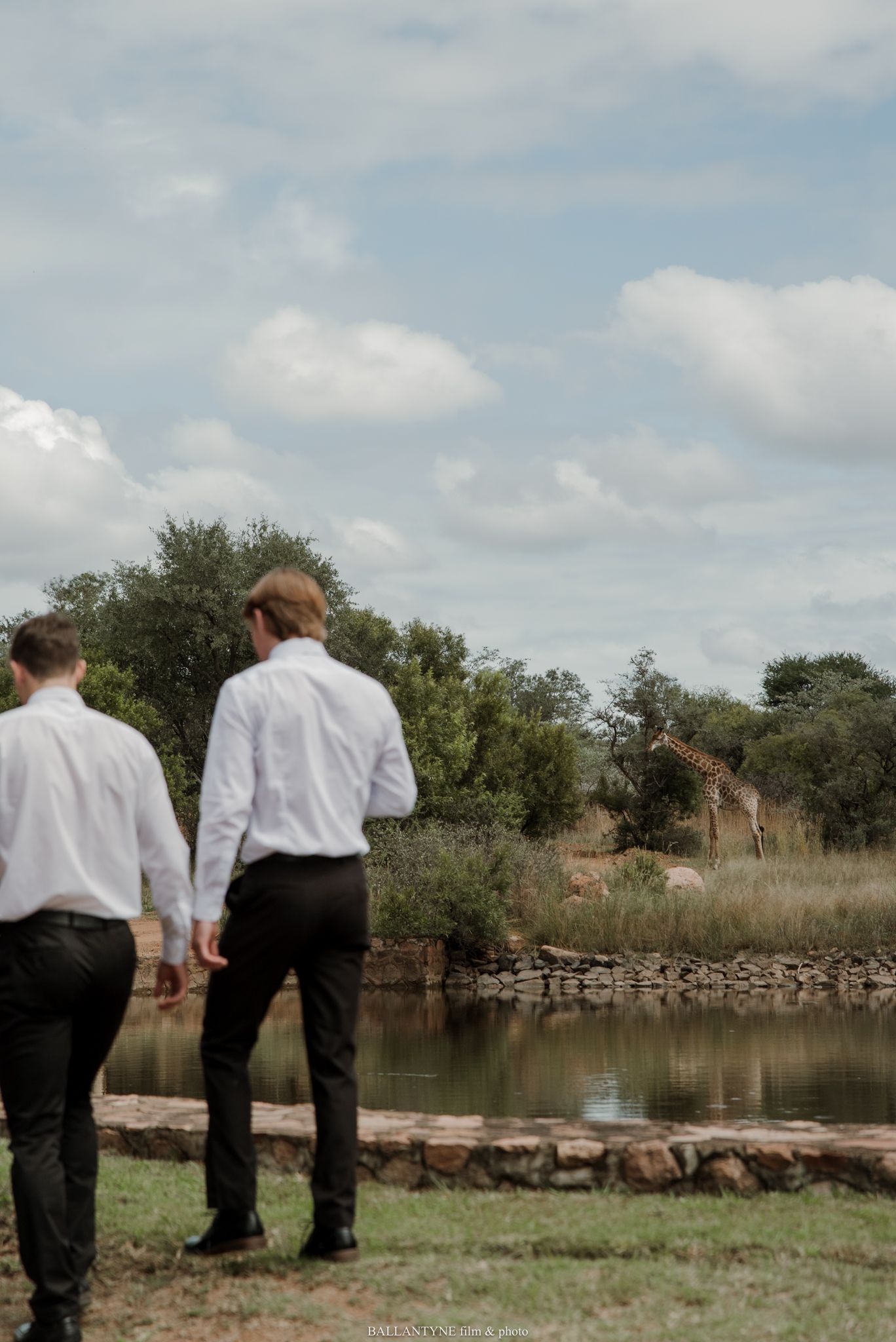 Two grooms in white shirts hold hands by a scenic waterhole with a giraffe in the background at a safari wedding.