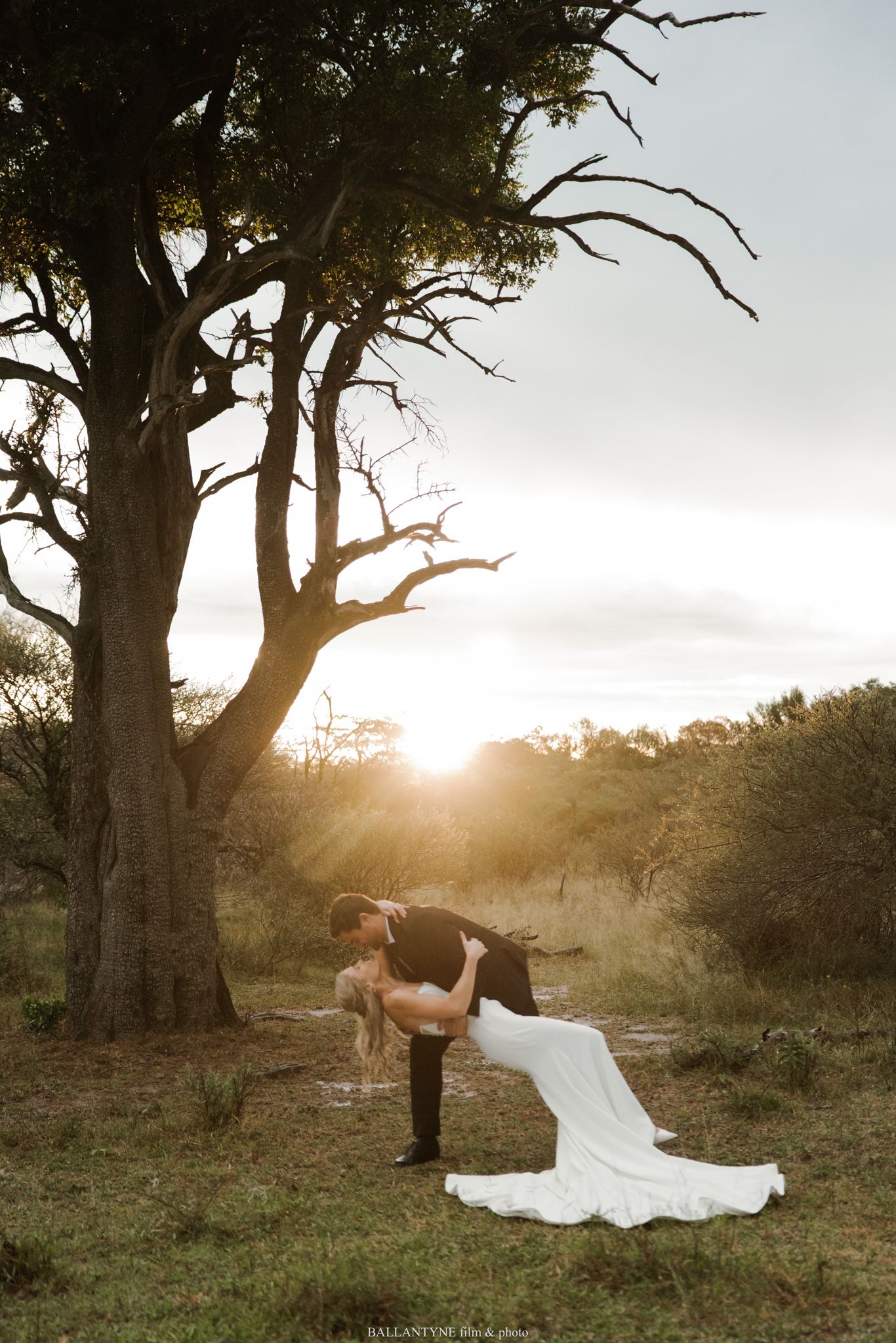 Bride and groom share a romantic dip kiss at golden sunset beside a dramatic bare tree in an African bush setting.