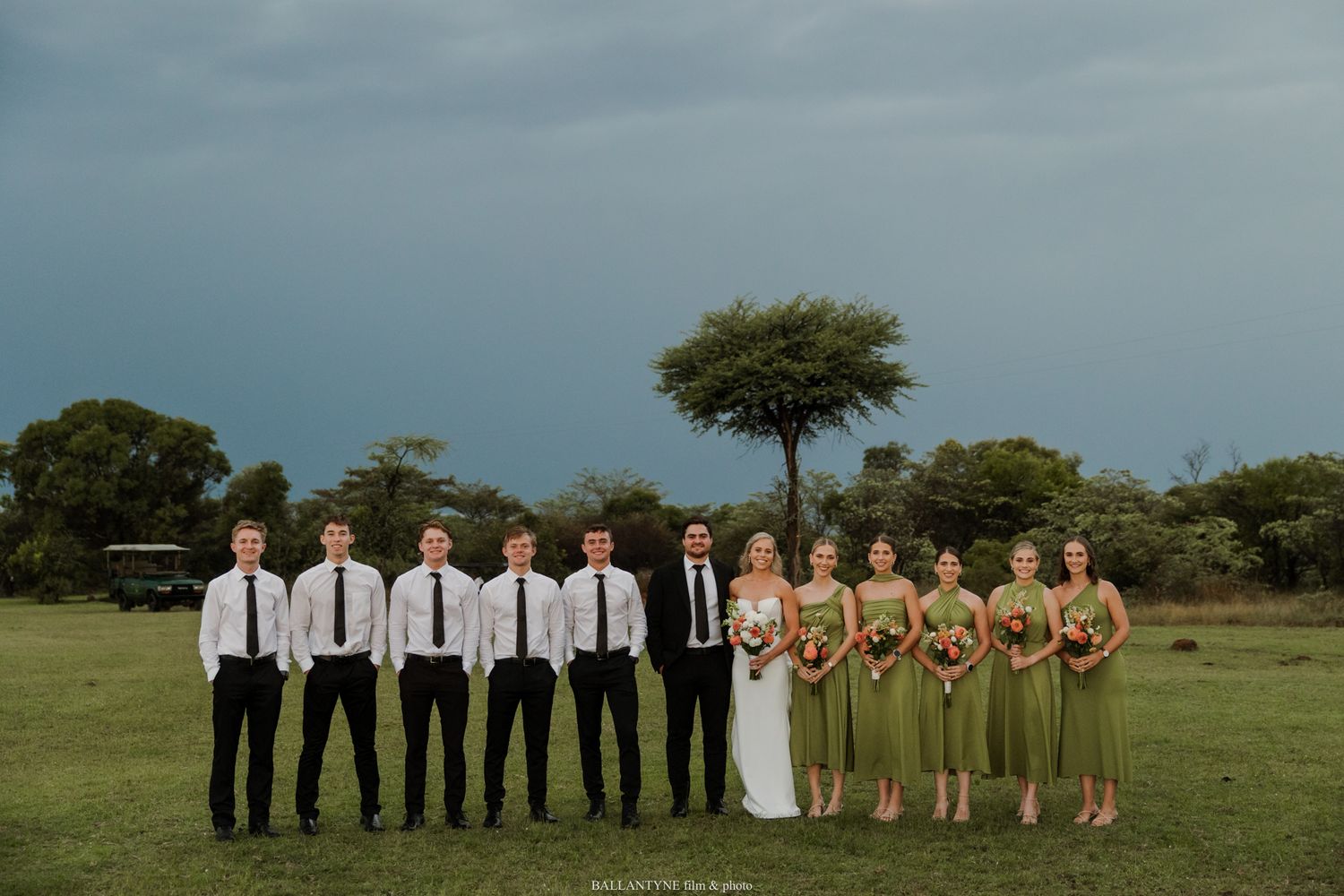 Wedding party poses outdoors on lush green lawn with dramatic stormy sky, groomsmen in black suits and bridesmaids in olive dresses.