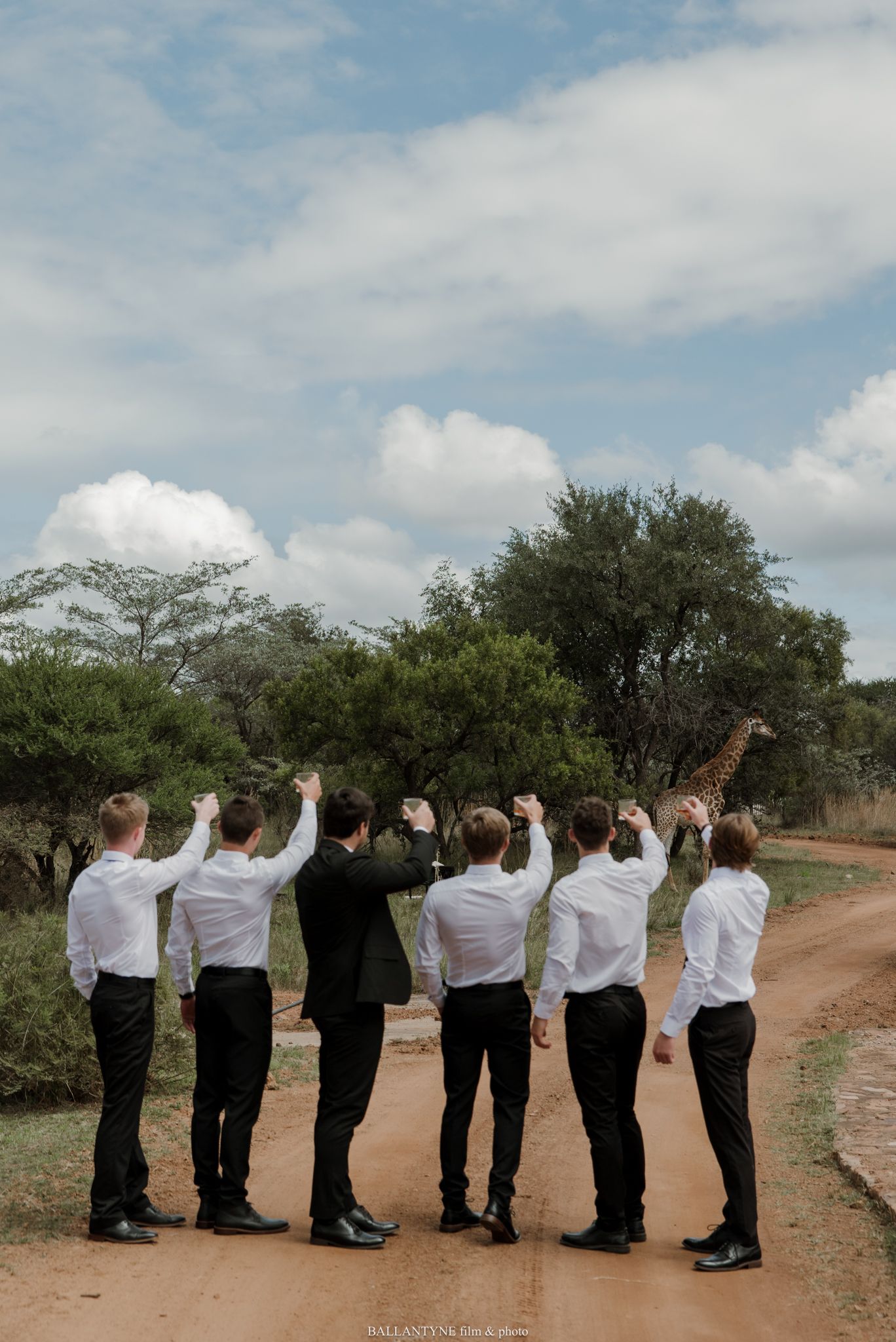 Groomsmen in white shirts raise fists on a dirt road with a giraffe in the African bush background.