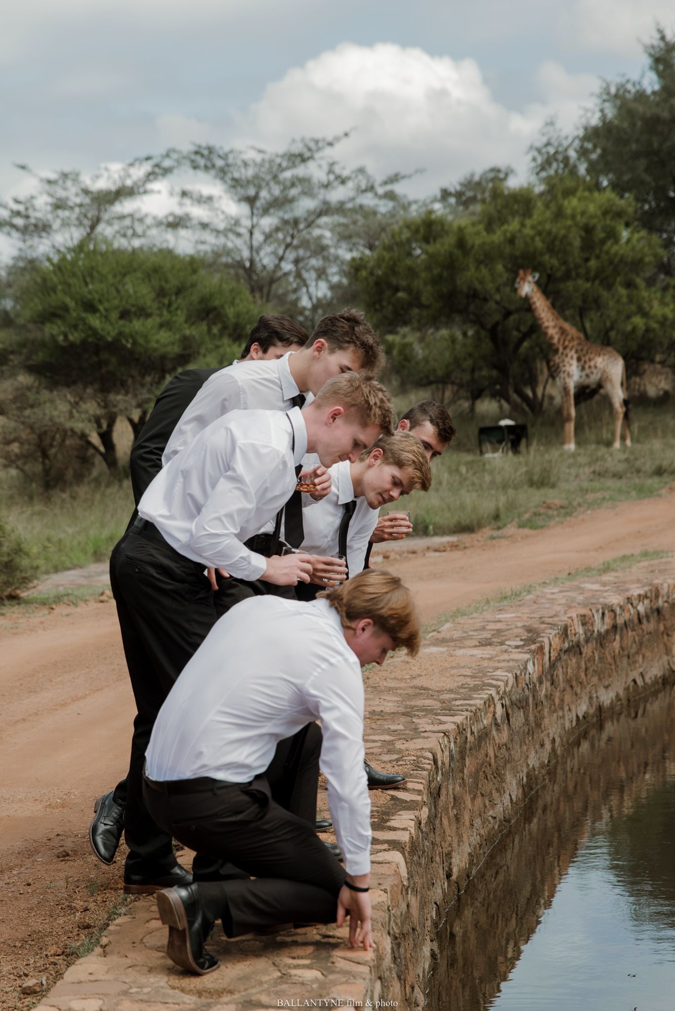 Groomsmen in white shirts and suspenders lean over a stone water feature on a safari, with a giraffe visible in the background.