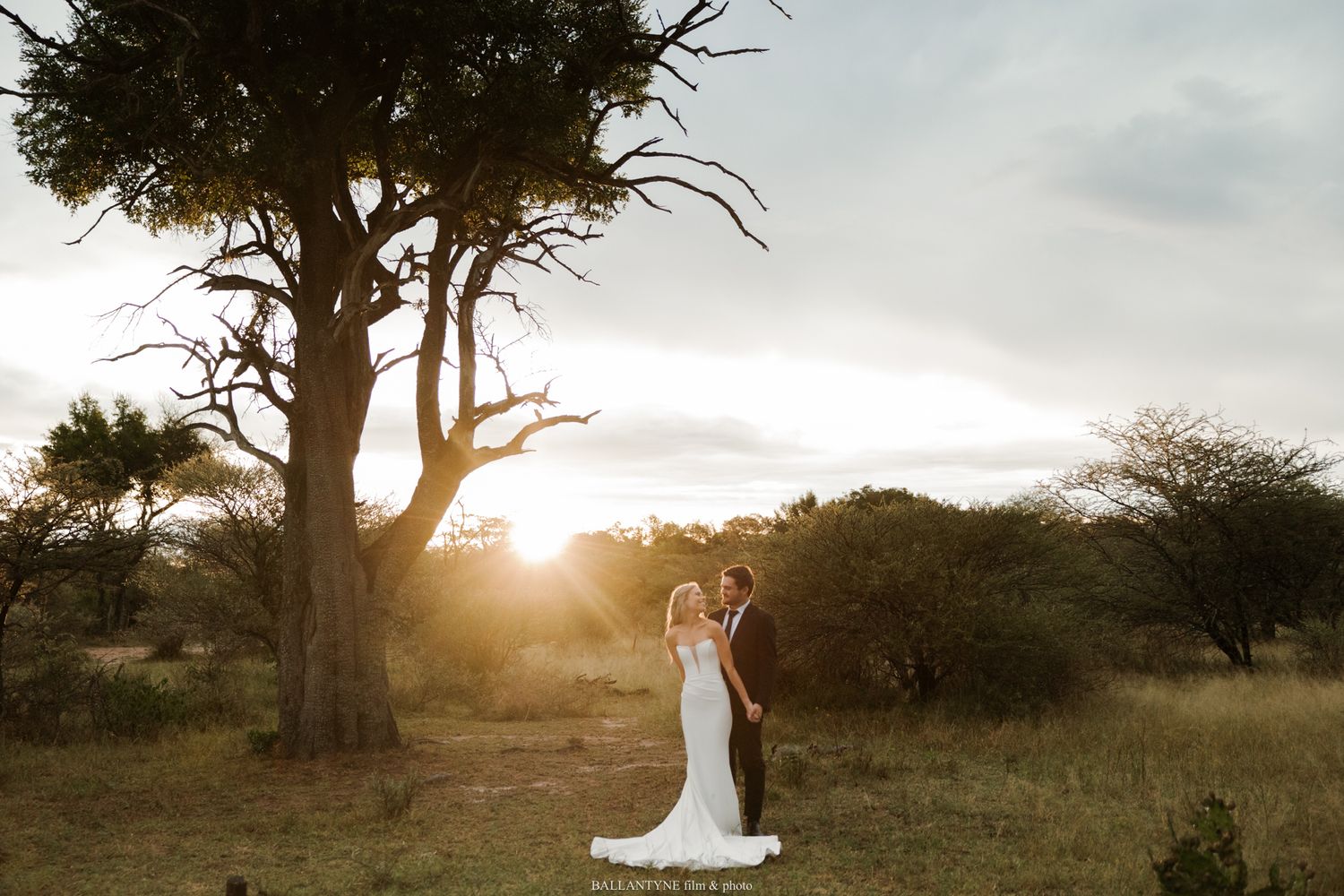 Bride and groom embrace at golden sunset in African savanna landscape with acacia tree backdrop.