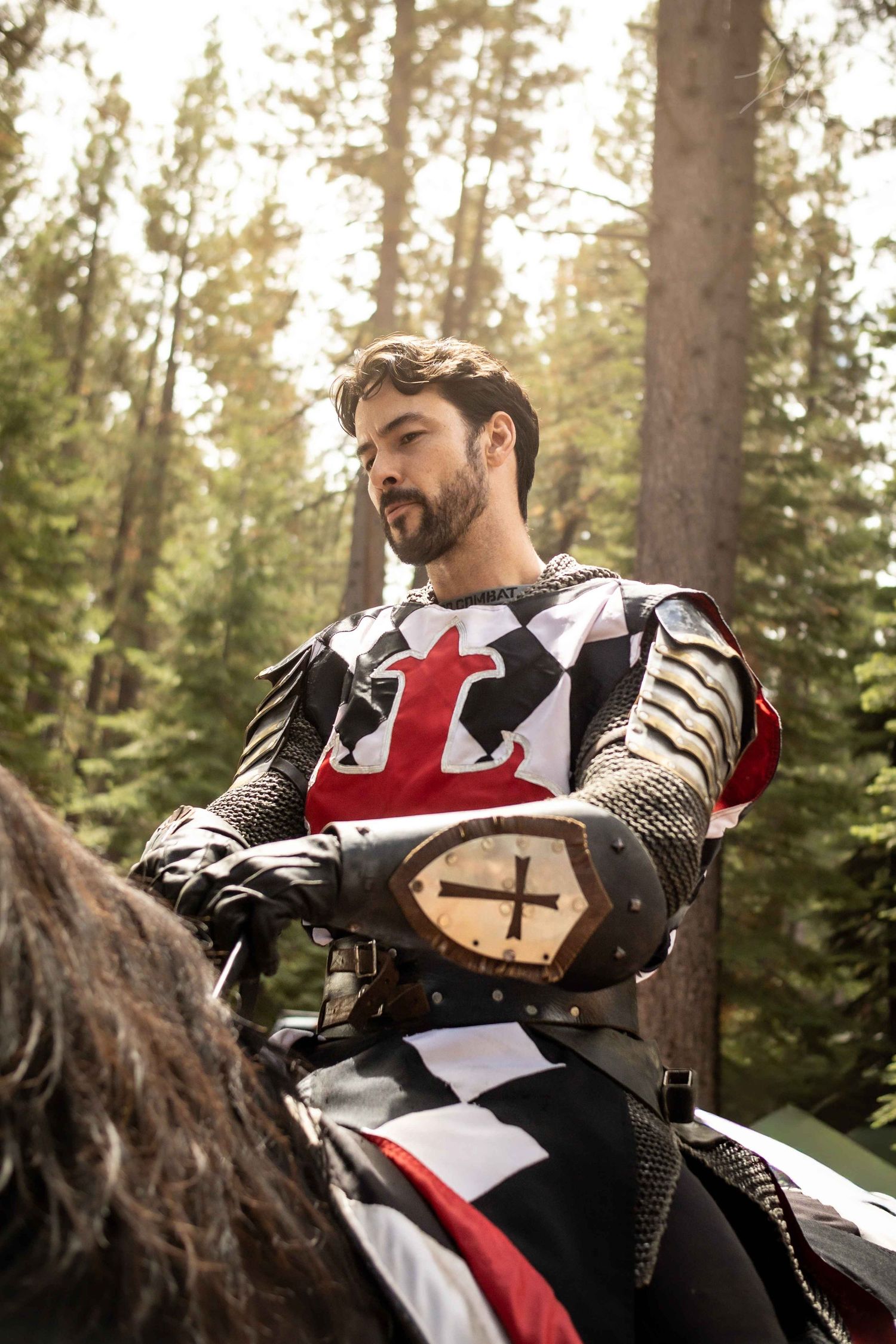 knight on horse in forest curly hair, beard closeup portrait