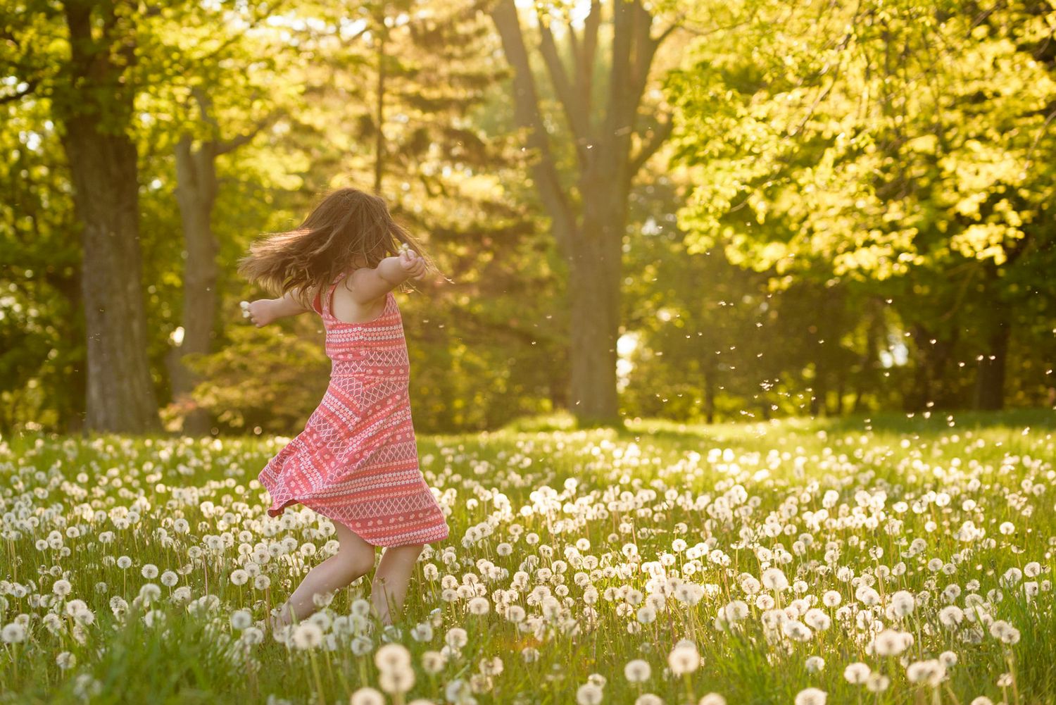 Young child in pink dress twirls joyfully in a sunlit garden filled with blooming white flowers and trees.