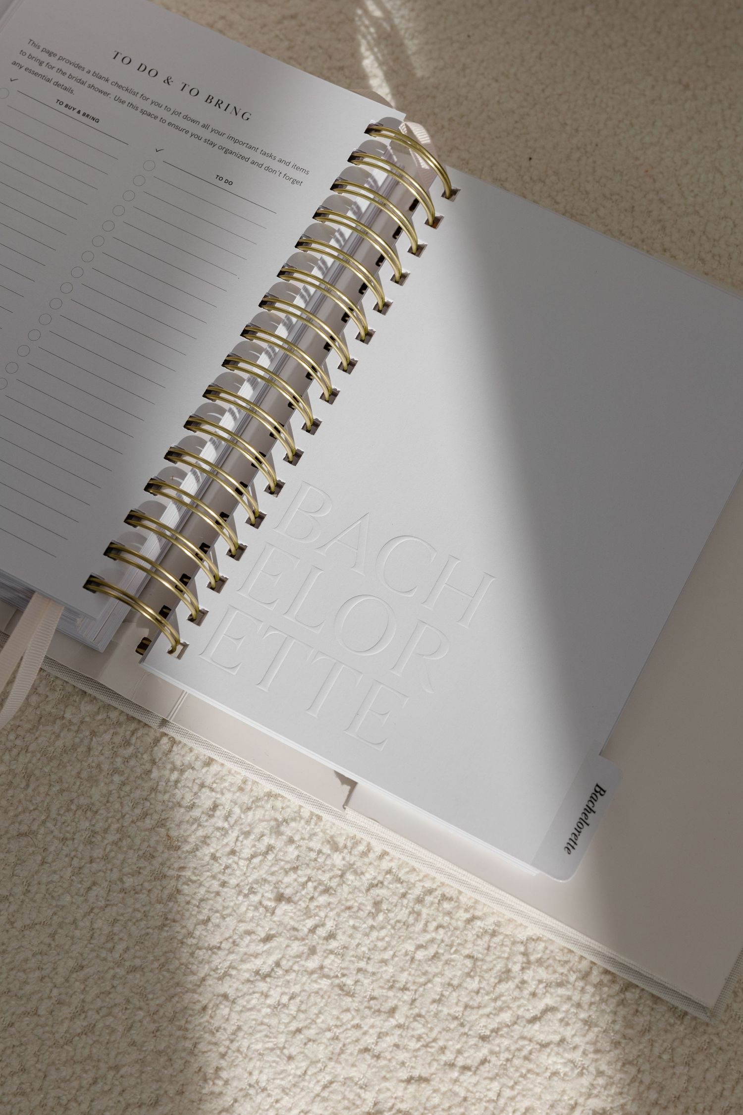 Open spiral-bound planner with blank pages catching natural window light.