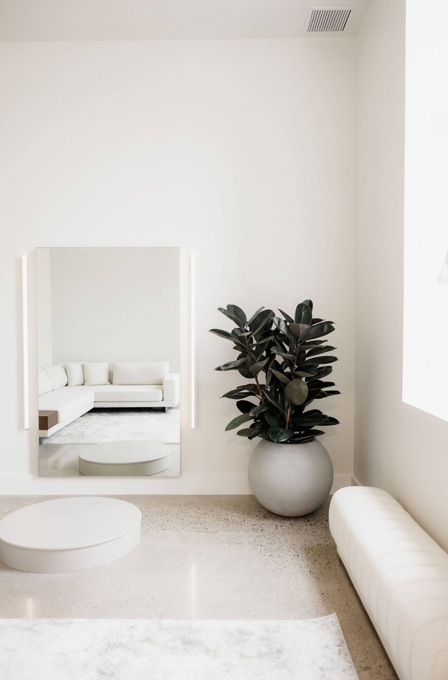 Clean white minimalist room with modern seating and large potted plant.