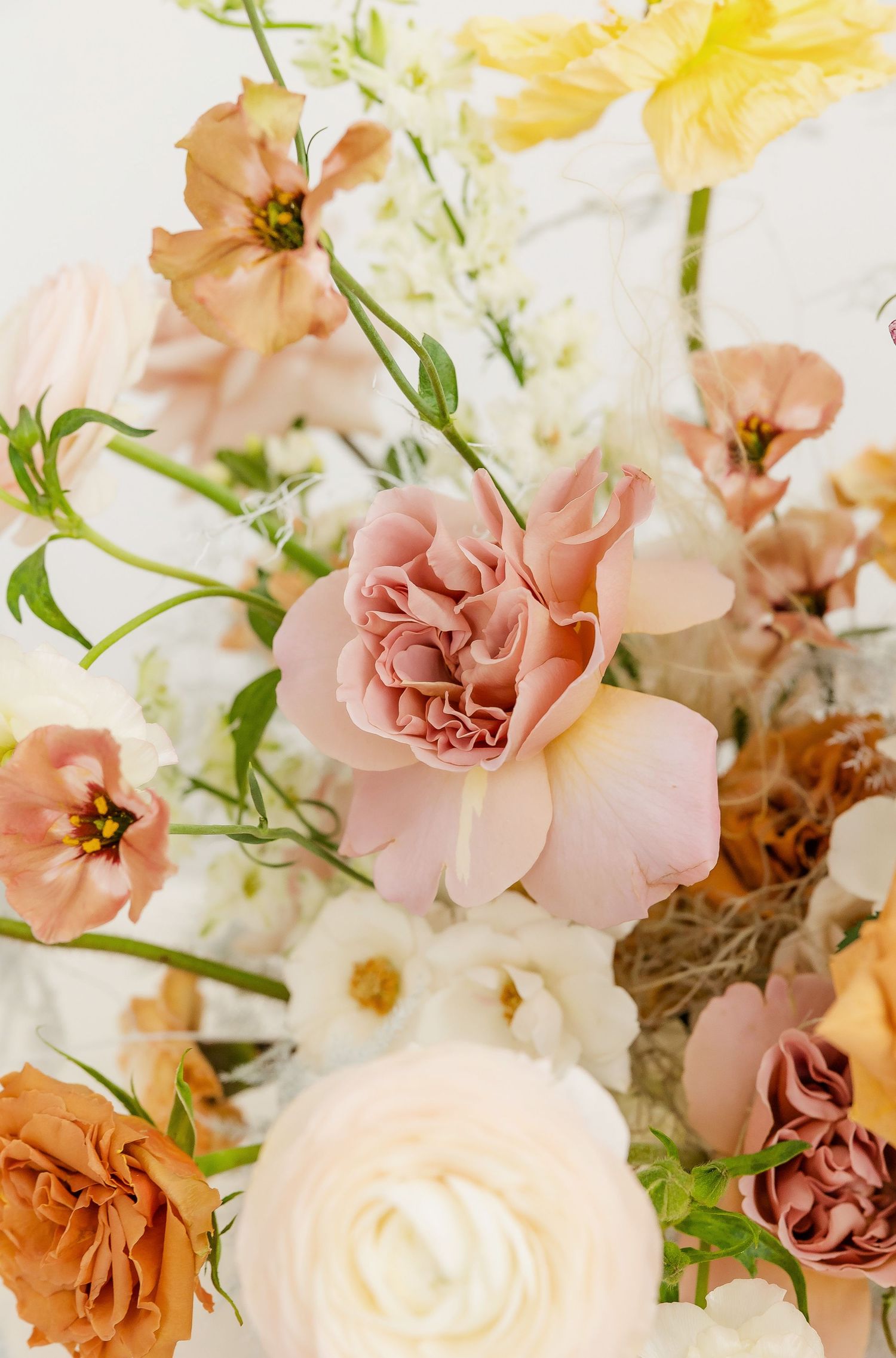 Close-up of delicate roses and flowers in peachy pink and coral tones with green foliage.