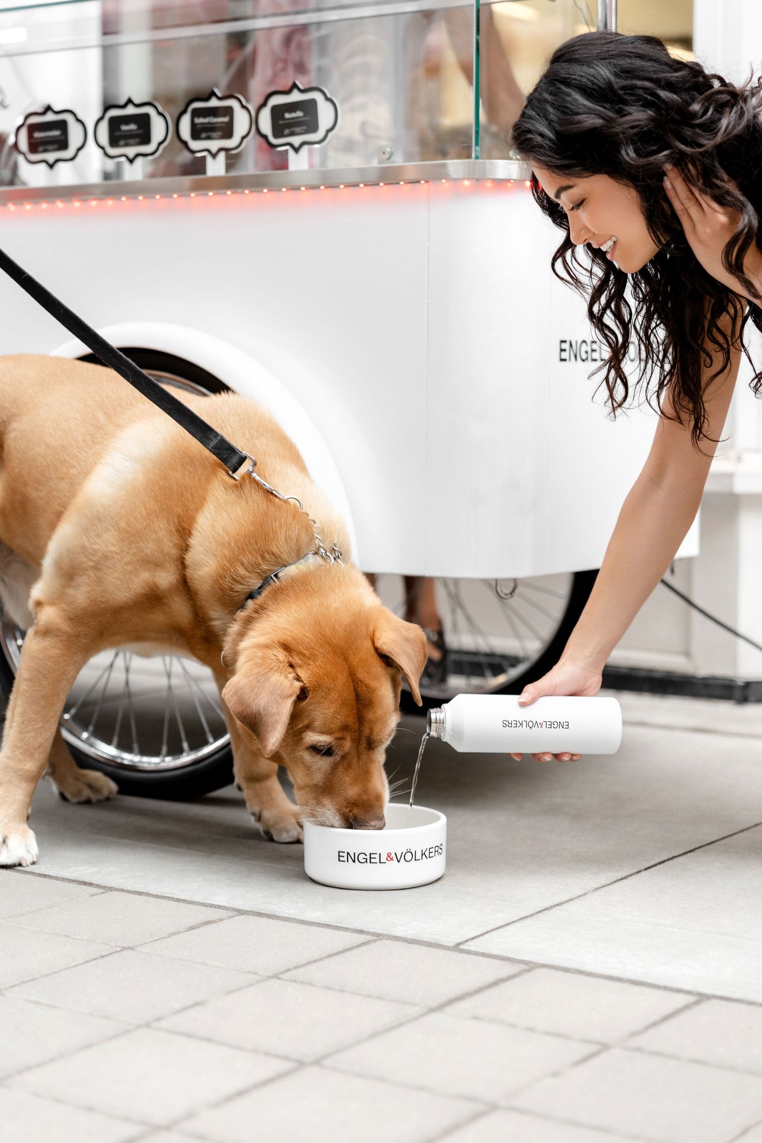 Dog drinking water from a branded bowl while on leash in an office setting.